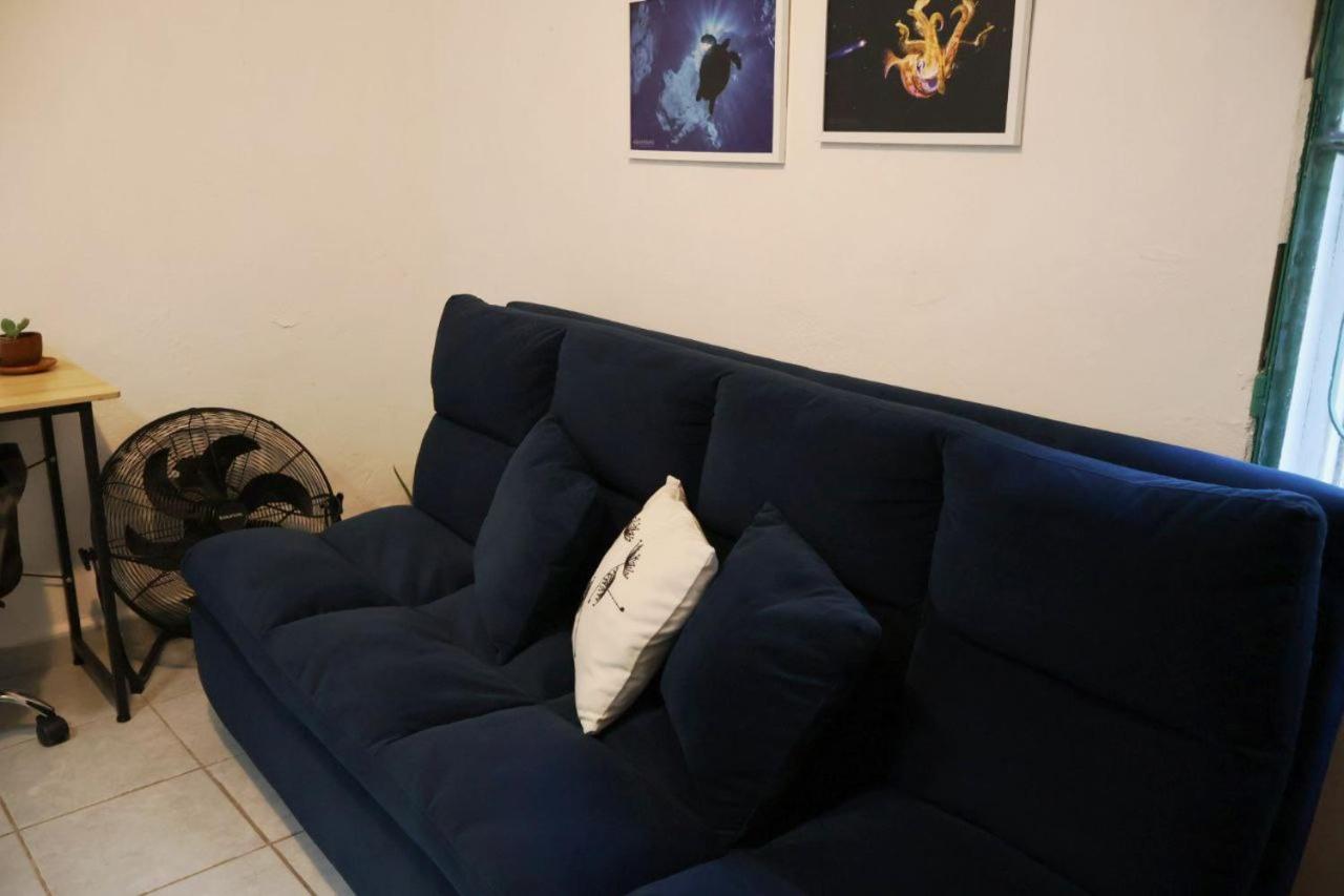 Studios Yaxkin, located in downtown, foto 15