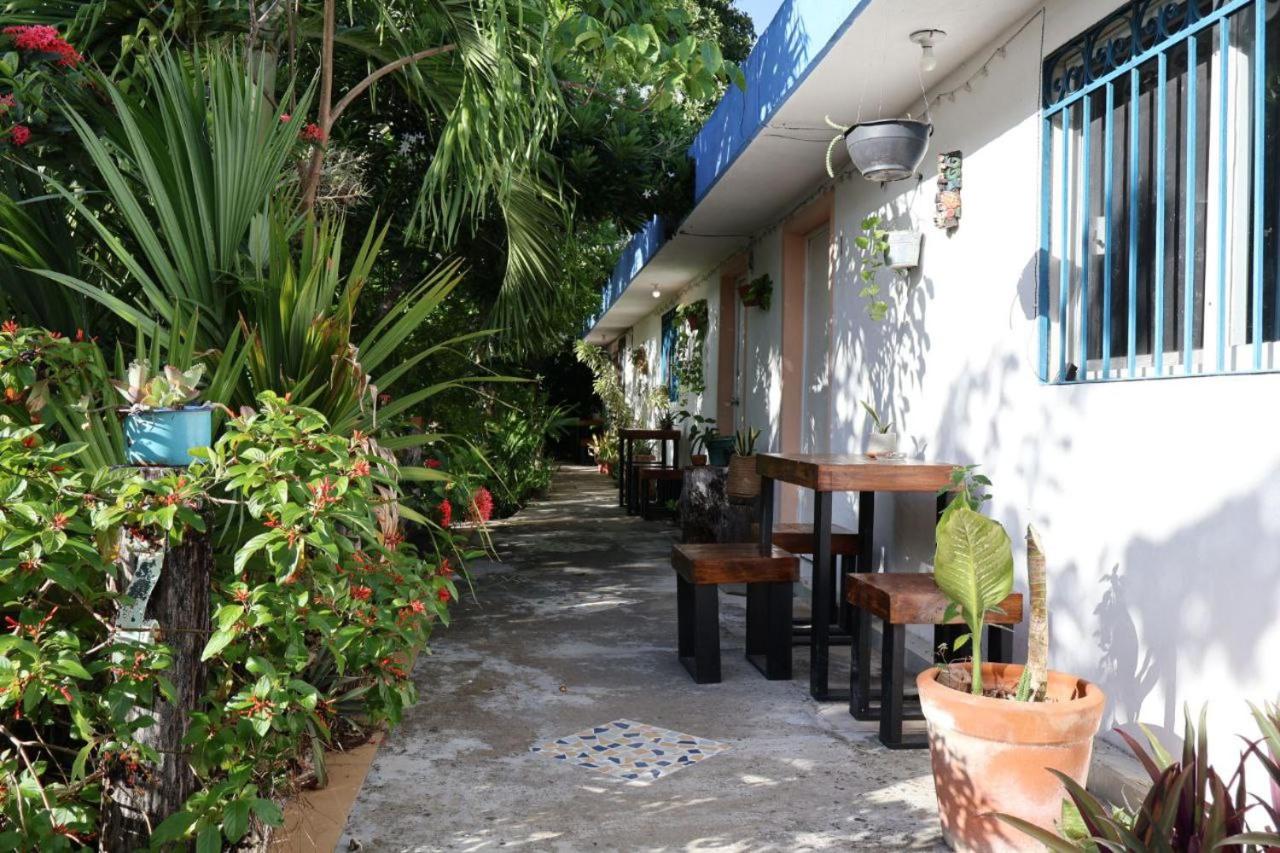 Studios Yaxkin, located in downtown, imagen 5