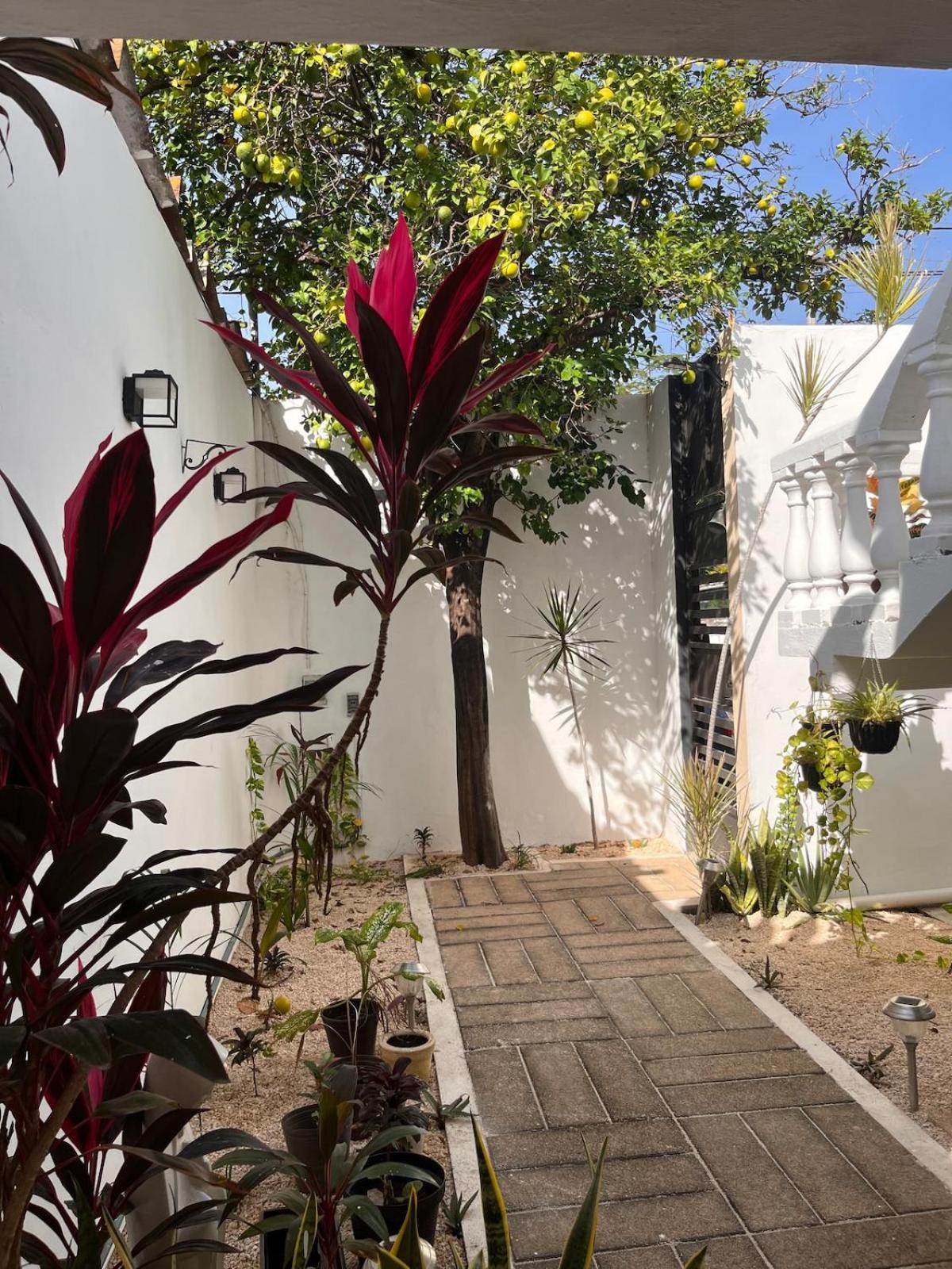 Apartment in Merida, foto 11