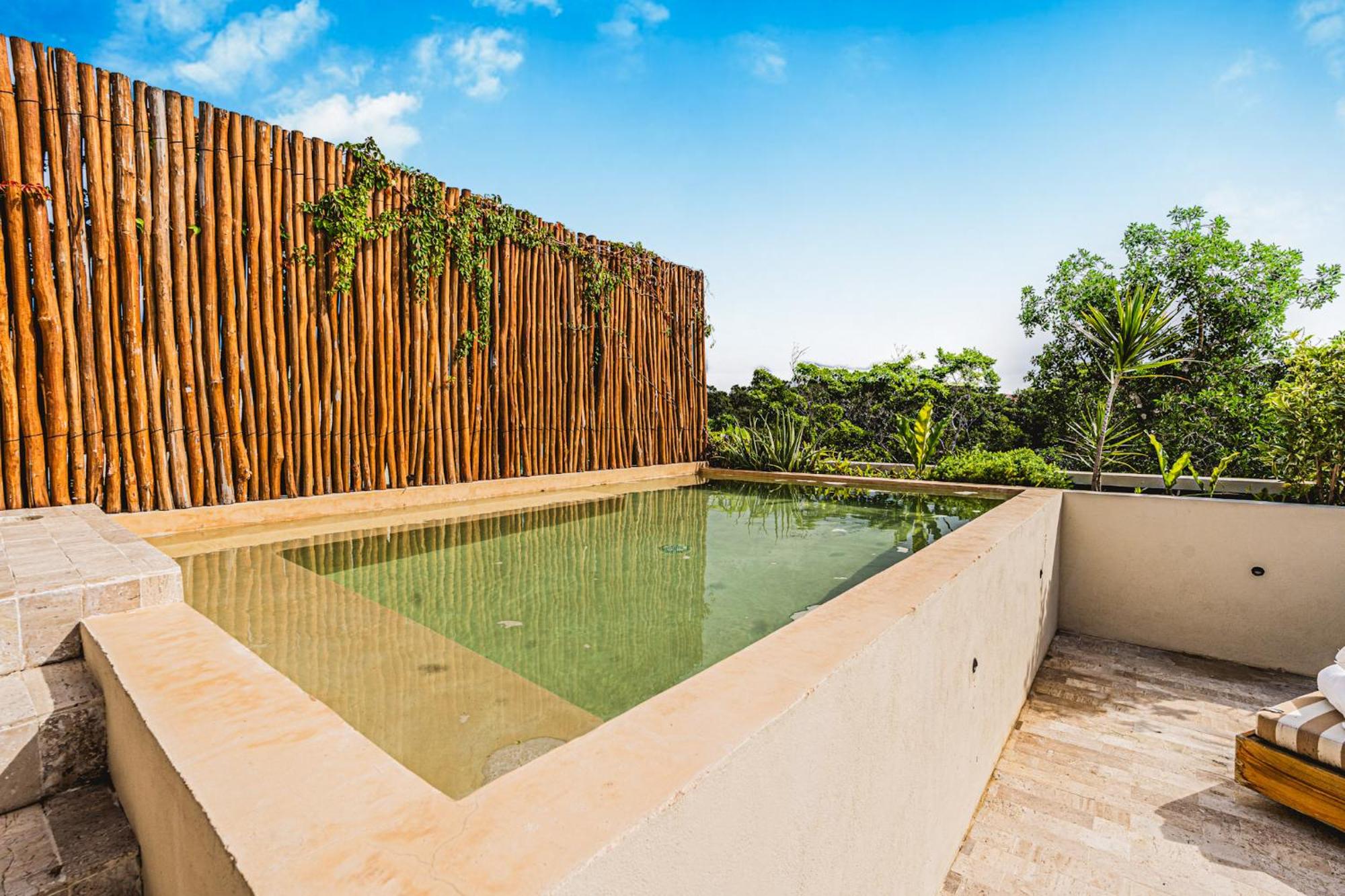 Jungle Penthouse w Sunset Rooftop Private Pool, foto 10