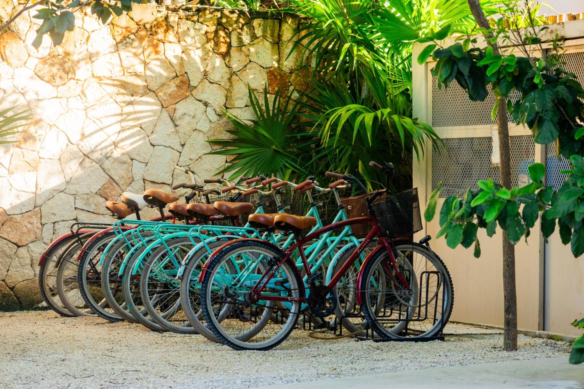 Teva Tulum, Aldea Zamá, foto 8
