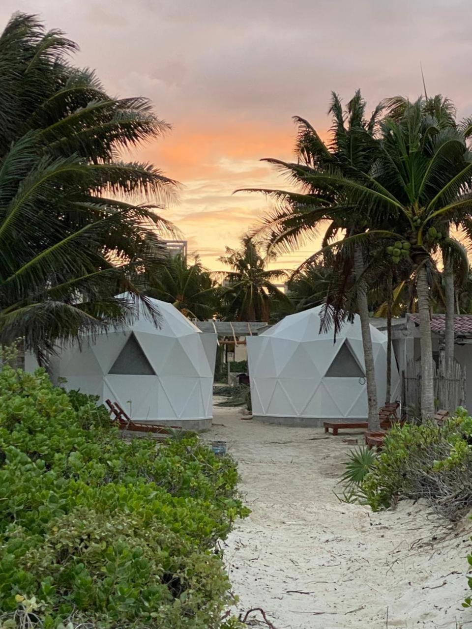 Frequency Beachfront Domes El Cuyo, imagen 2
