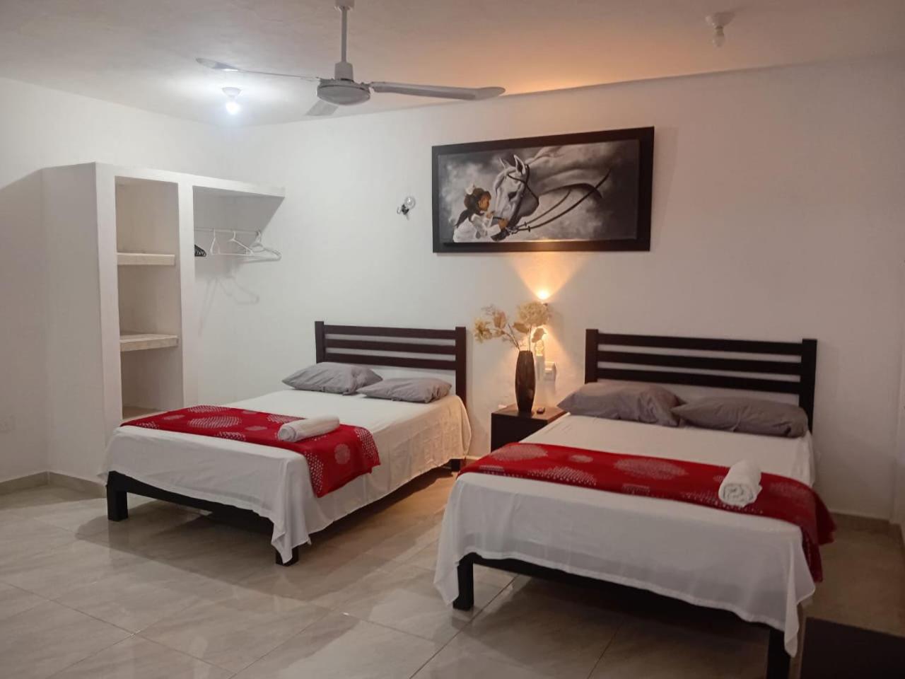 Habitaciones Aurelia, foto 8