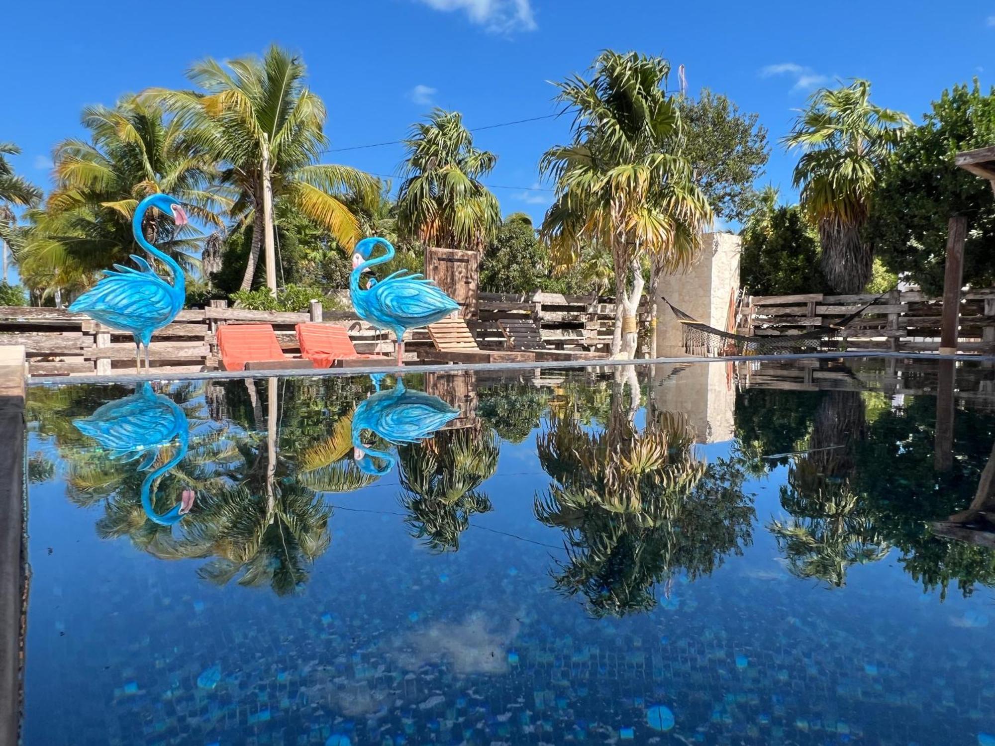 Flamingo Blue - Casa Boutique - Adults Only