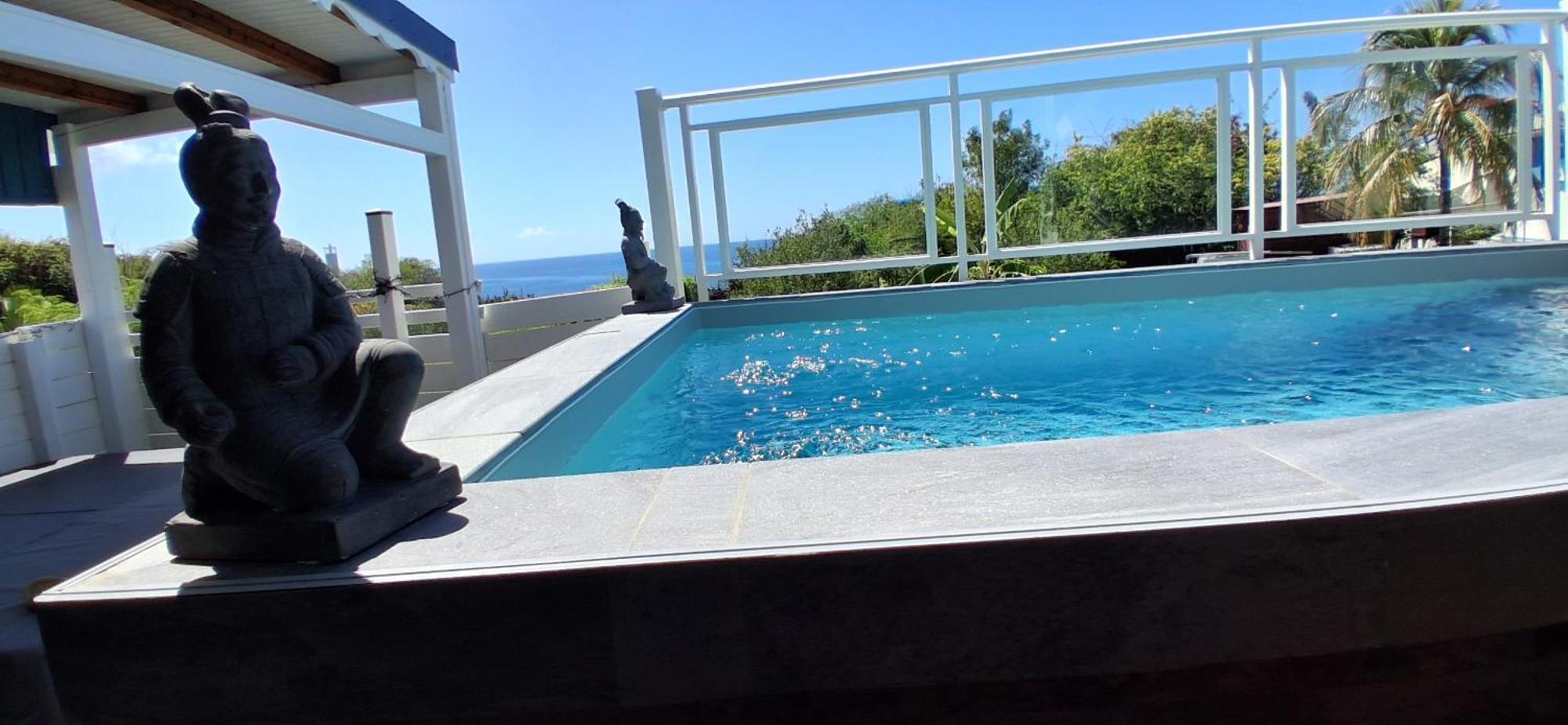 Gîtes Capra Pomme Surette piscine et spa, imagen 2