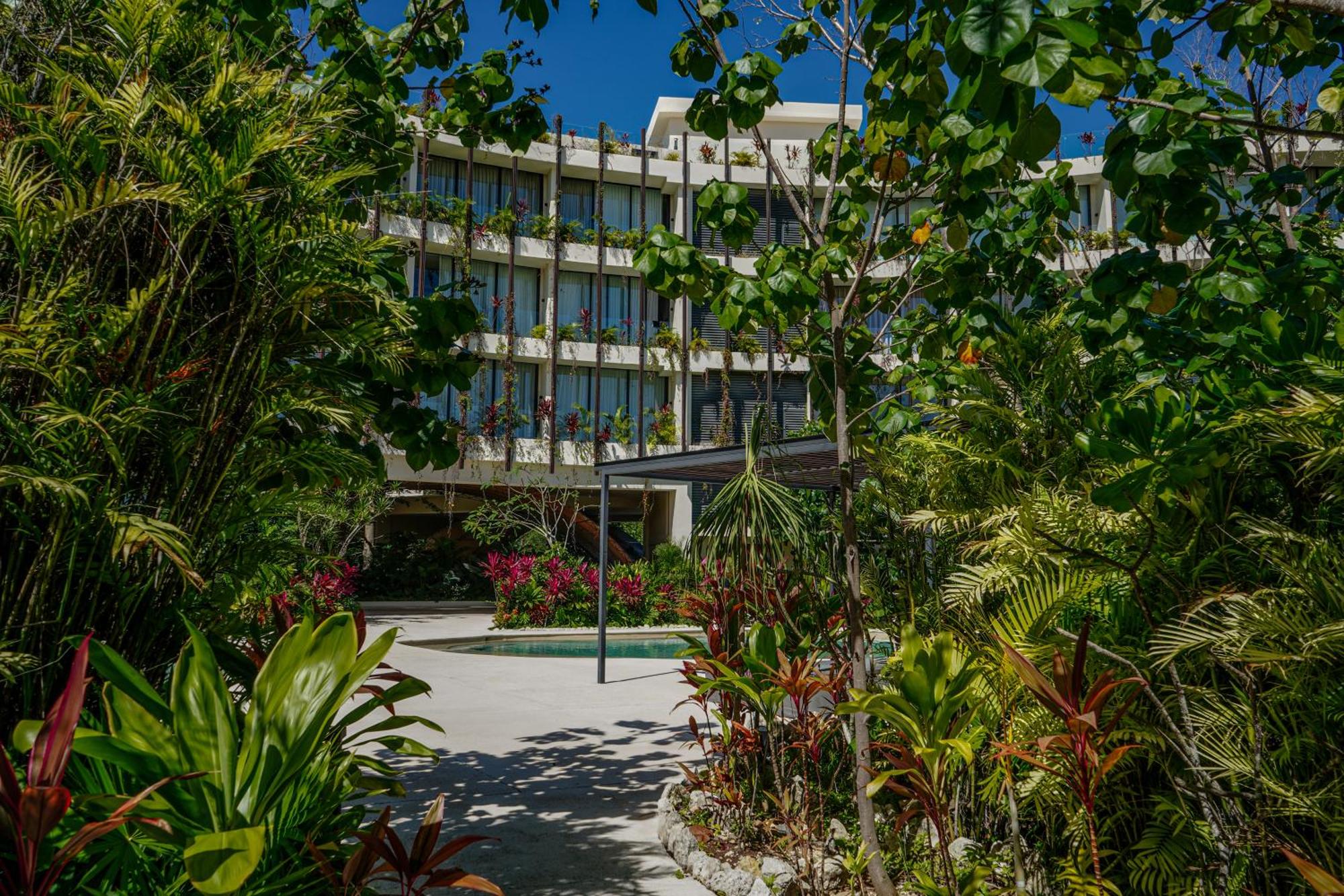 Tulum Oasis Jungle Views, 4 Pools & Near Beach, foto 6