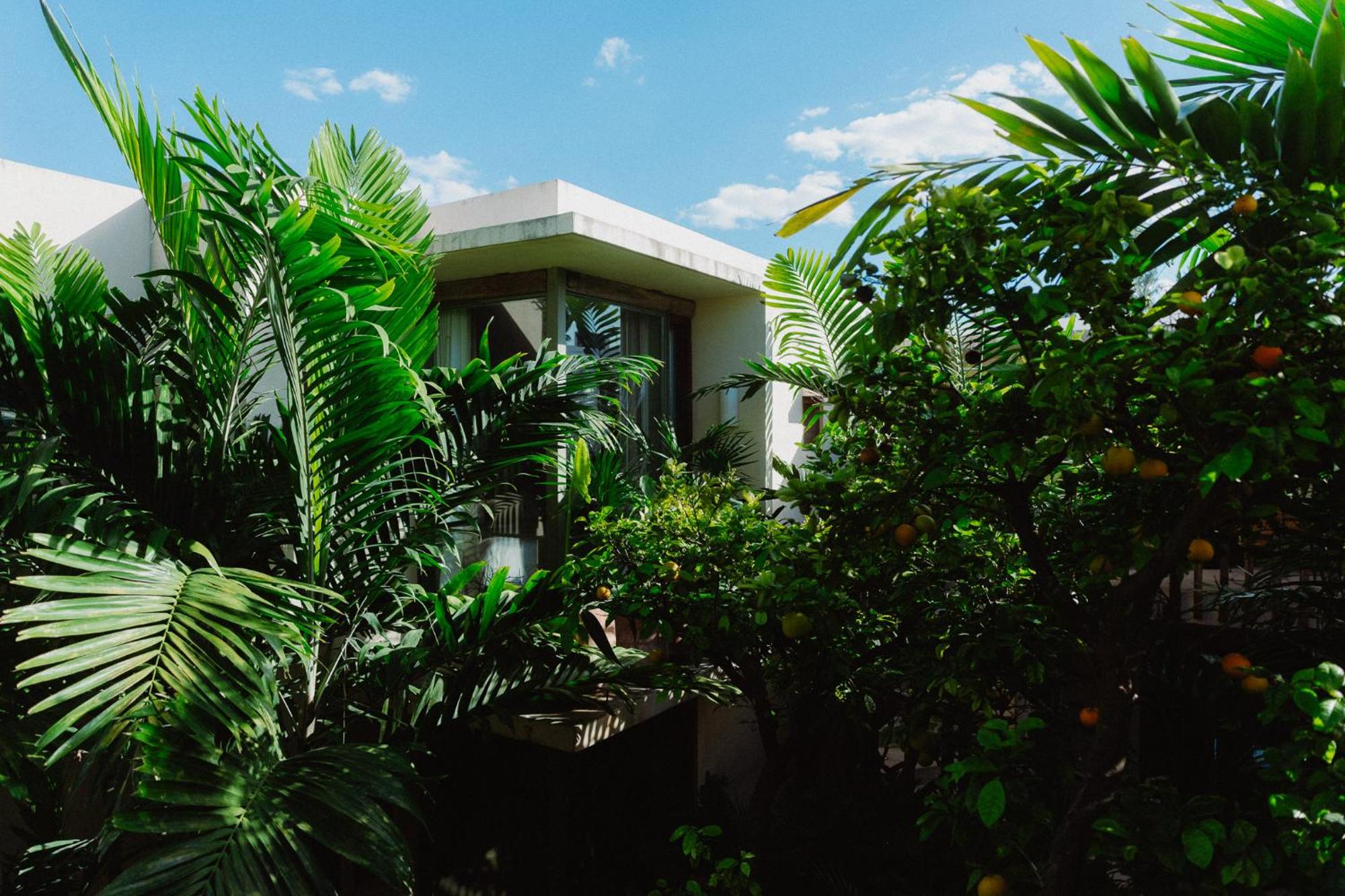 Querida Casa - Mérida Centro, imagen 4