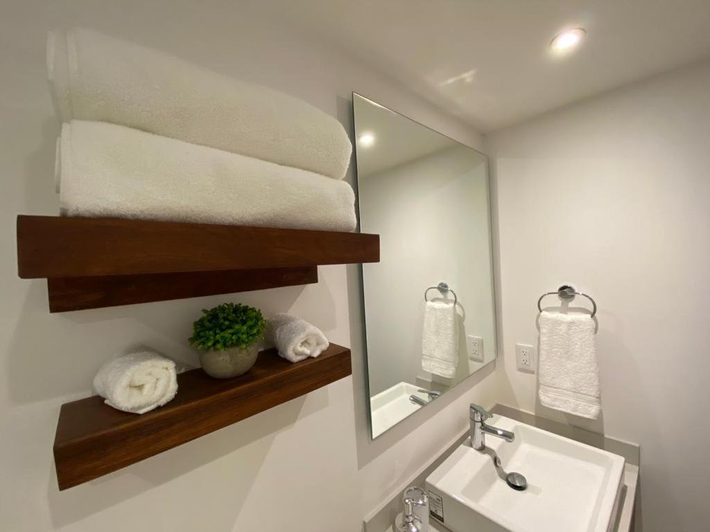 Estudio nuevo en el corazón de Playa del Carmen, foto 15