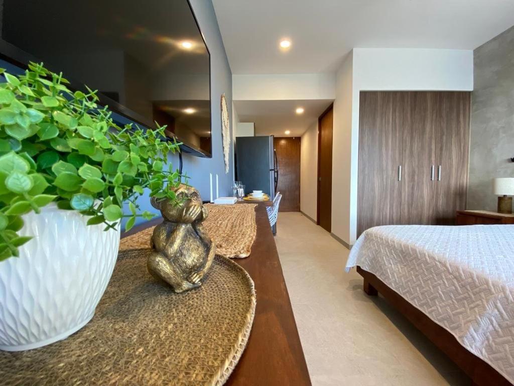 Estudio nuevo en el corazón de Playa del Carmen, foto 6