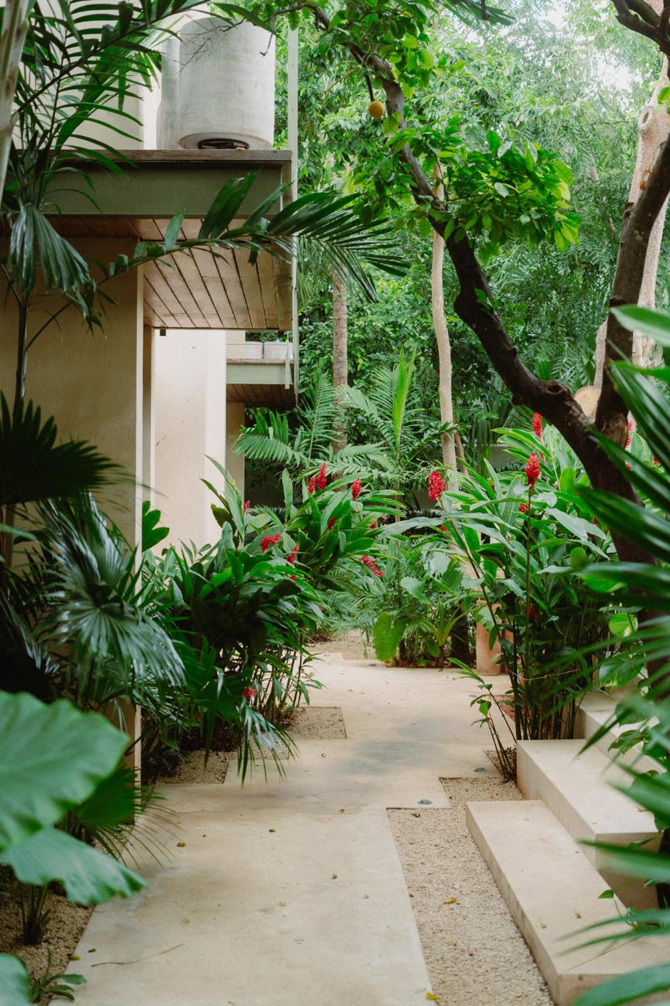 Querida Casa - Mérida Centro, foto 9