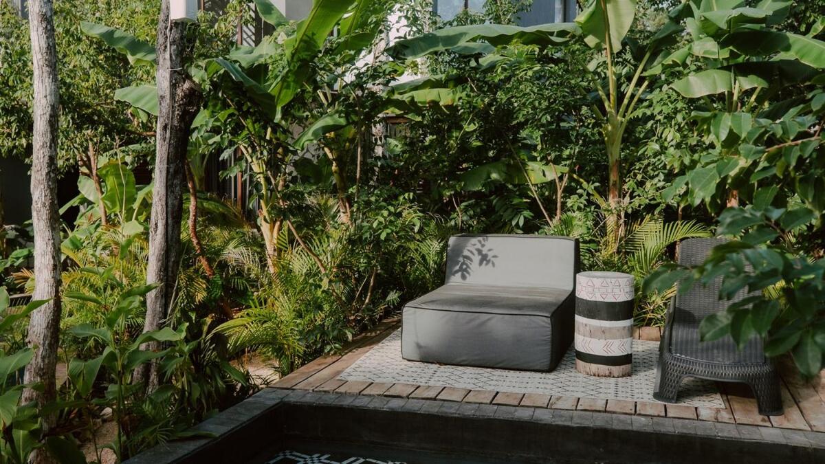 Private Jungle 1BR Retreat & Fast Wi-Fi, imagen 5
