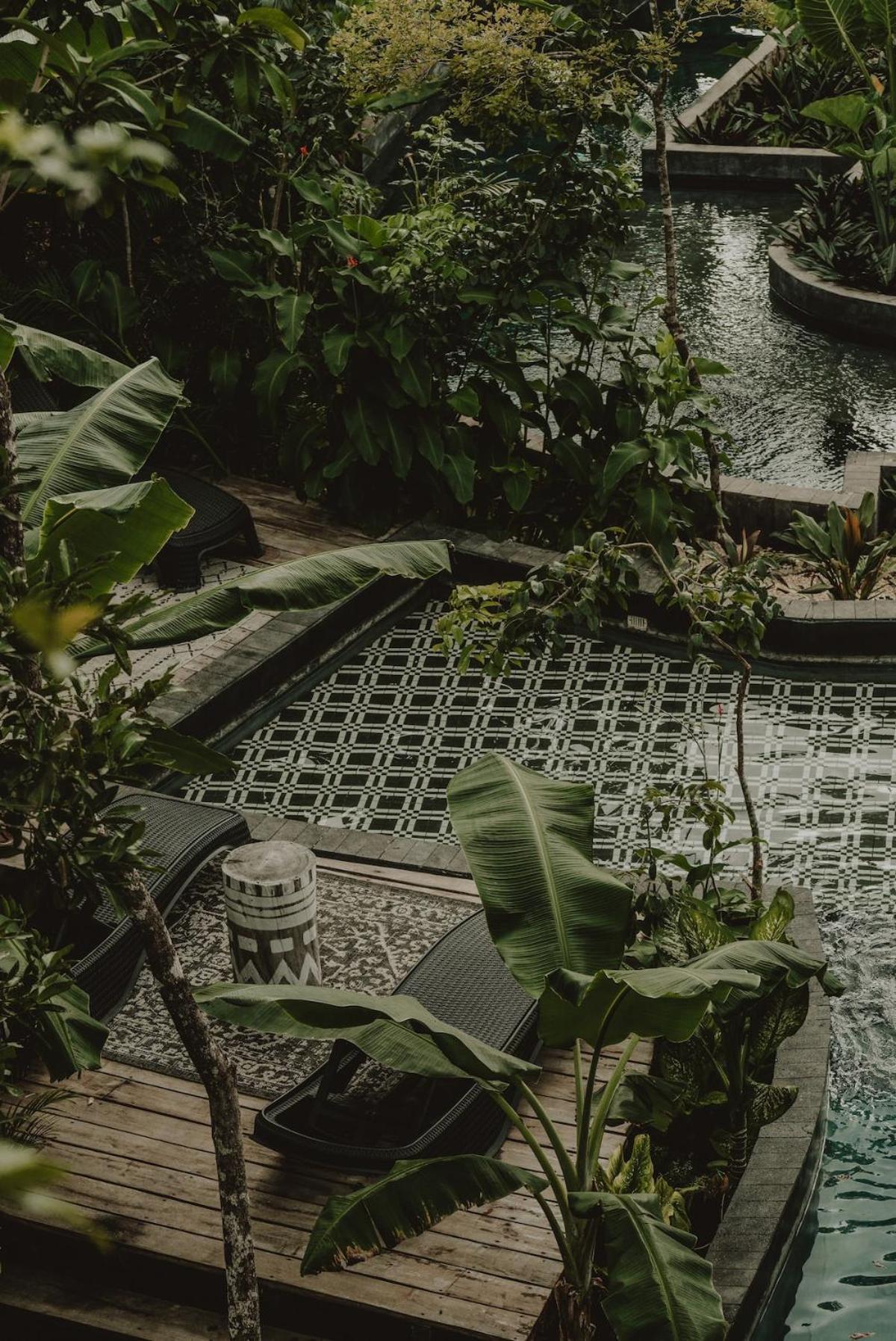 Private Jungle 1BR Retreat & Fast Wi-Fi, foto 6