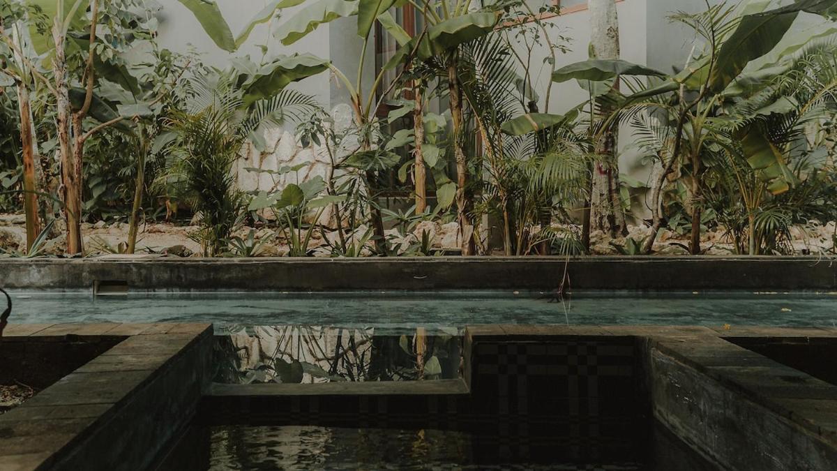 Private Jungle 1BR Retreat & Fast Wi-Fi, foto 11