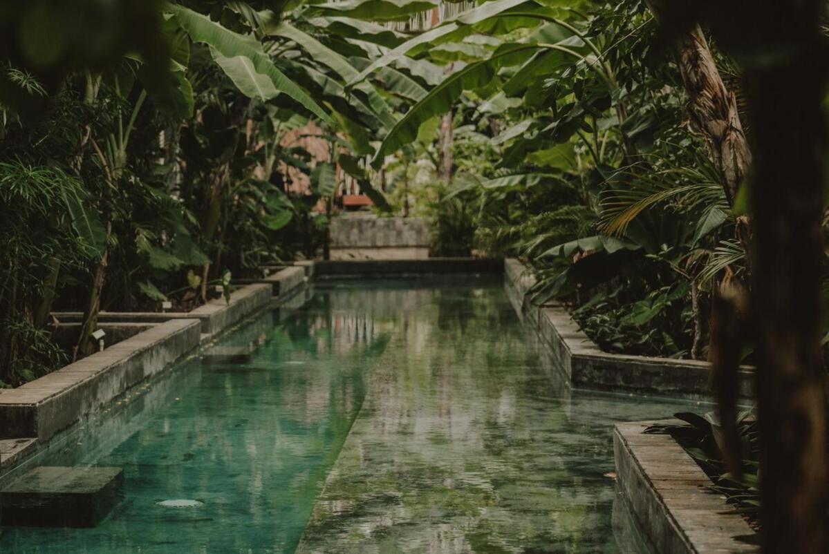 Private Jungle 1BR Retreat & Fast Wi-Fi, foto 16