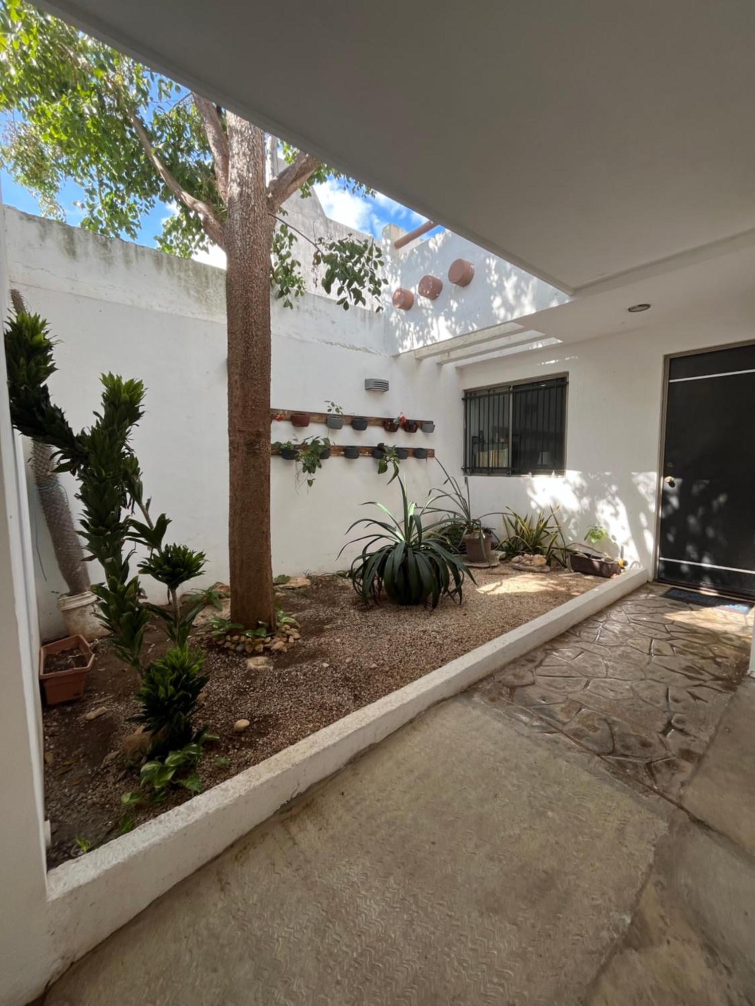 Casa luz, imagen 3