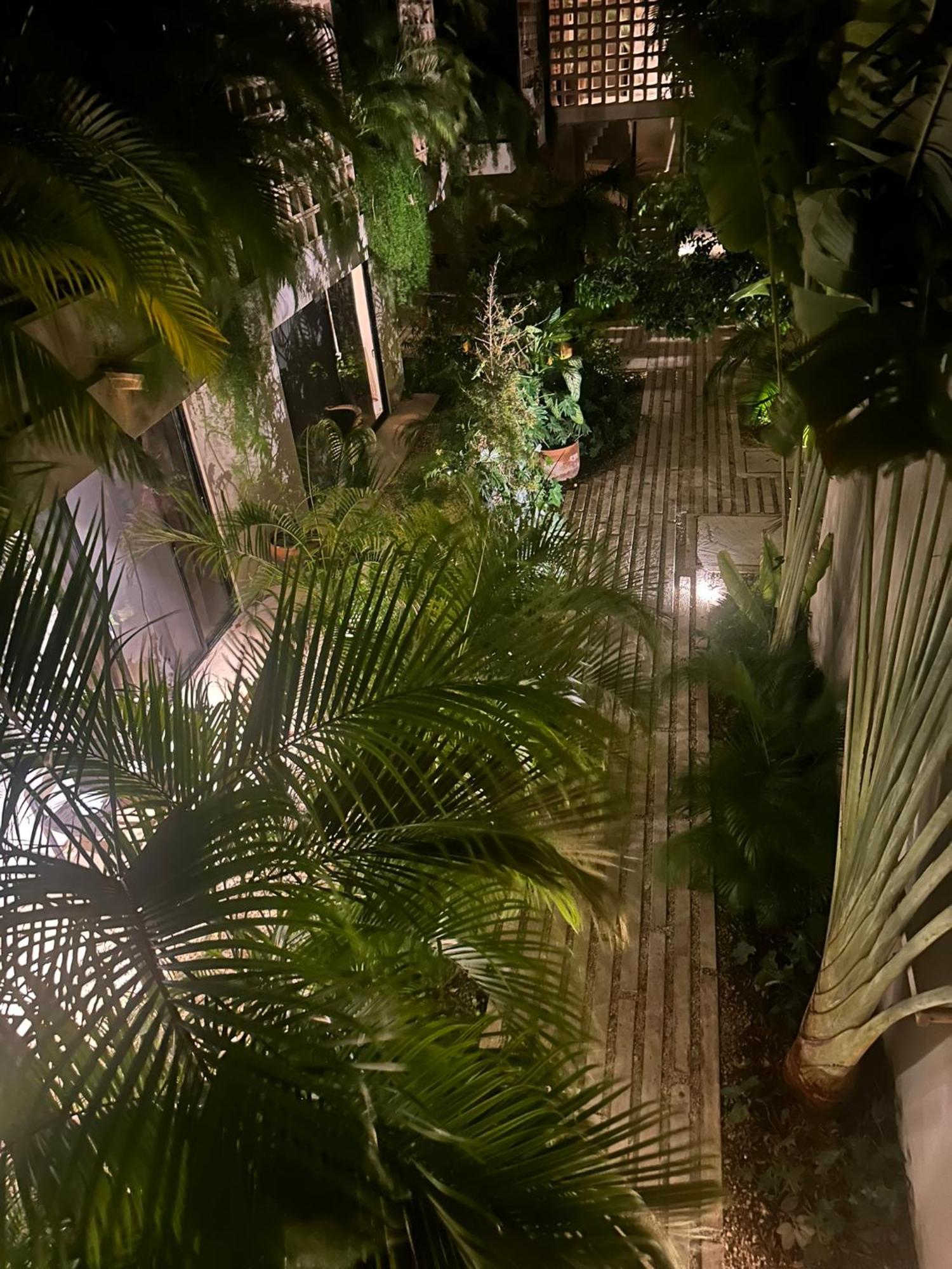 Paraiso Aldea Zama Tulum, foto 7