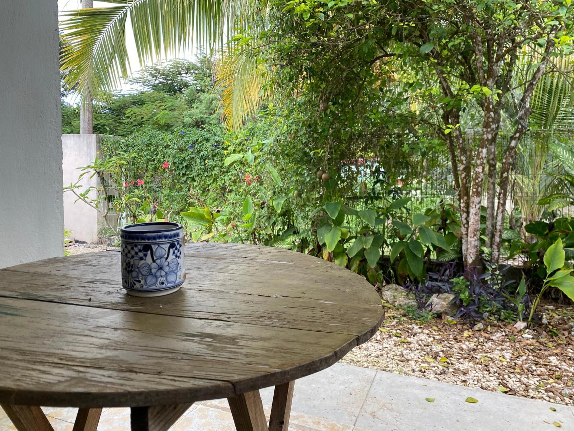 Nido Bacalar Apartments & Suites, foto 16
