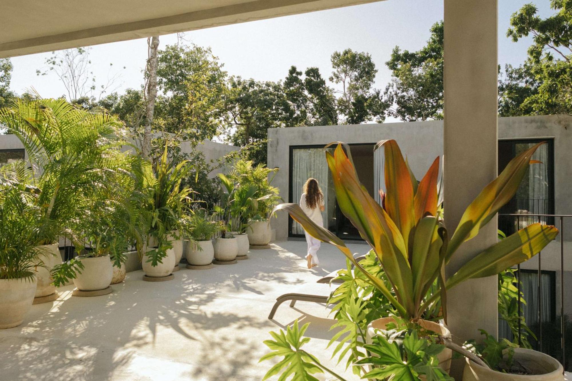Jashita Tulum Luxury Villas, imagen 4
