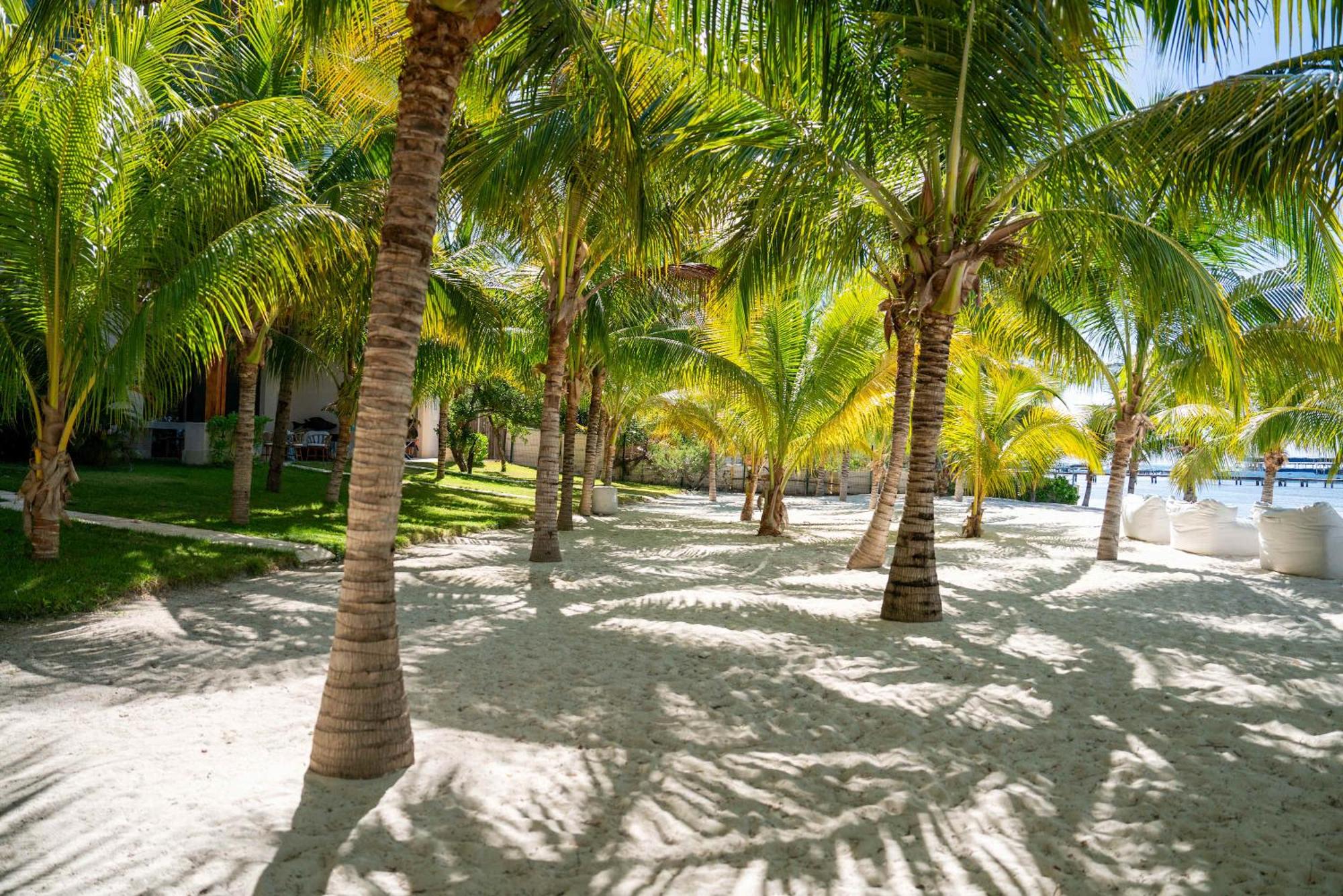 Premium Beachfront - 3BR - Heated Infinity Pool, foto 14