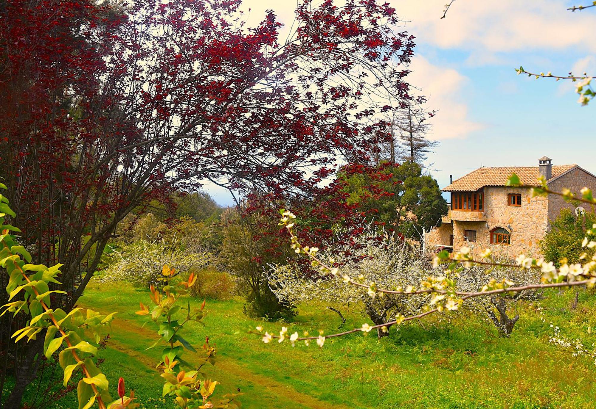 Casa Rural La Gustoza