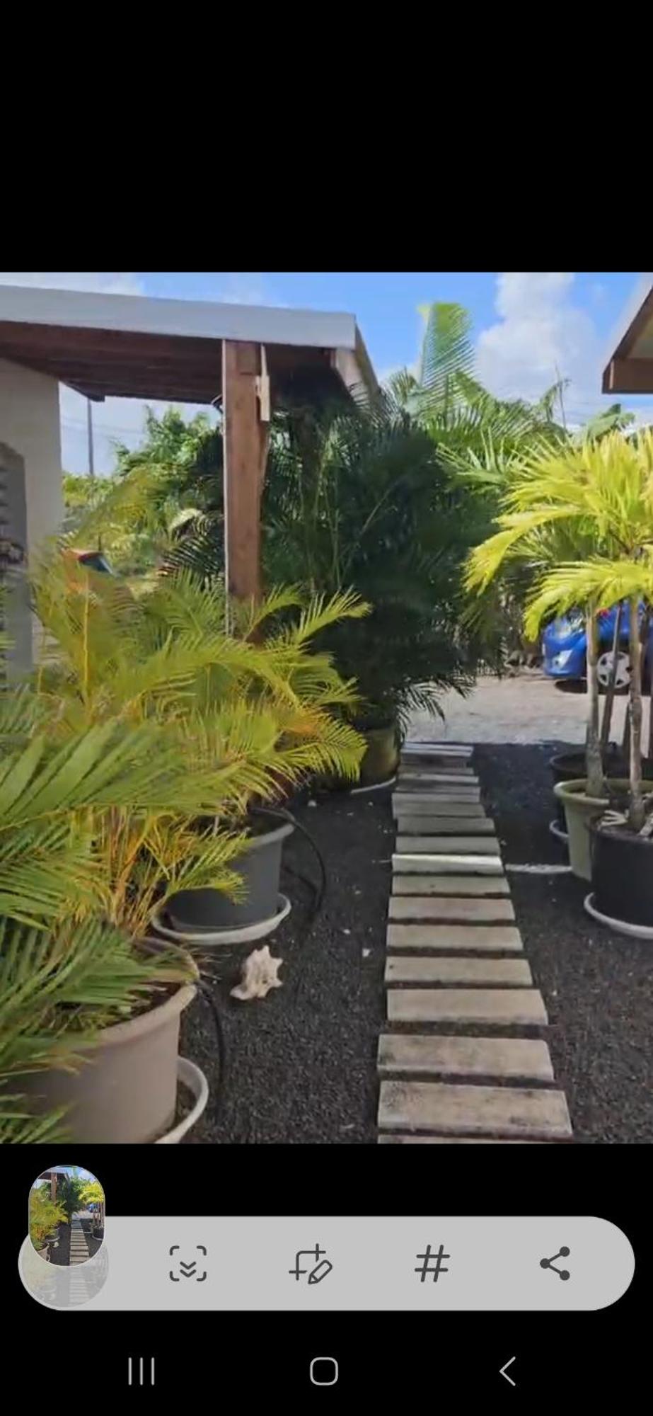 KAZ's à l'Anse Maurice, imagen 5