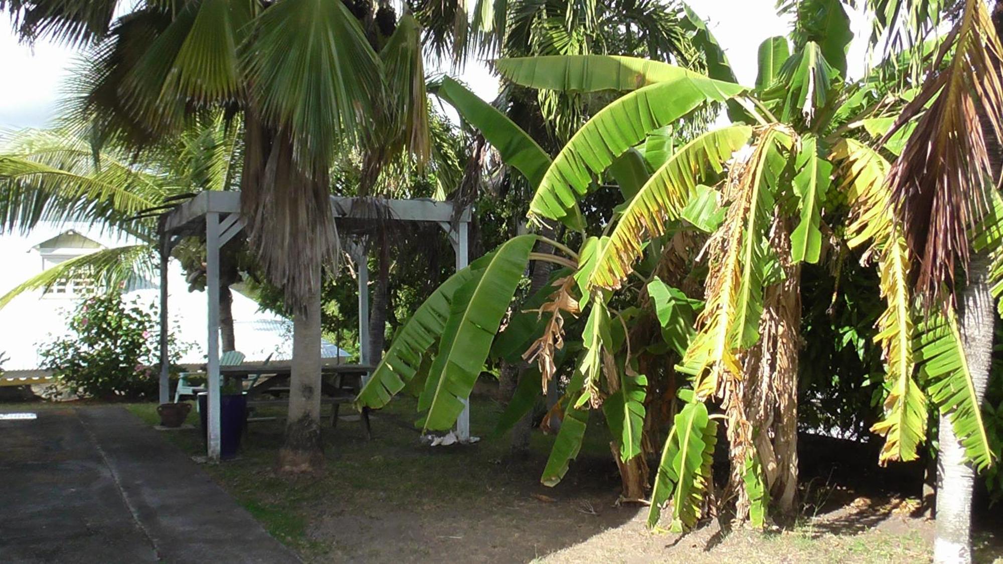 Appartement spacieux étage maison avec jardin à Ste Anne, imagen 2