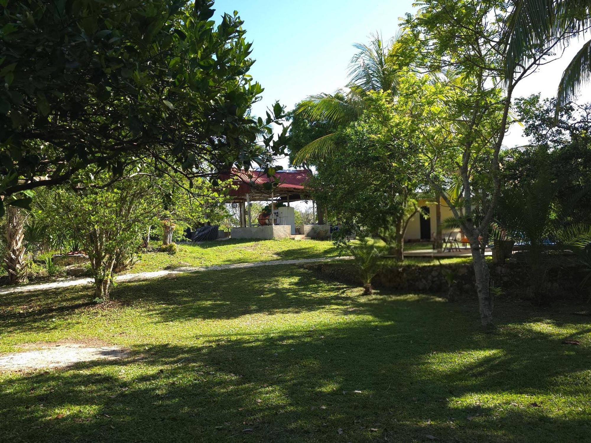 Villa Carulio, foto 14