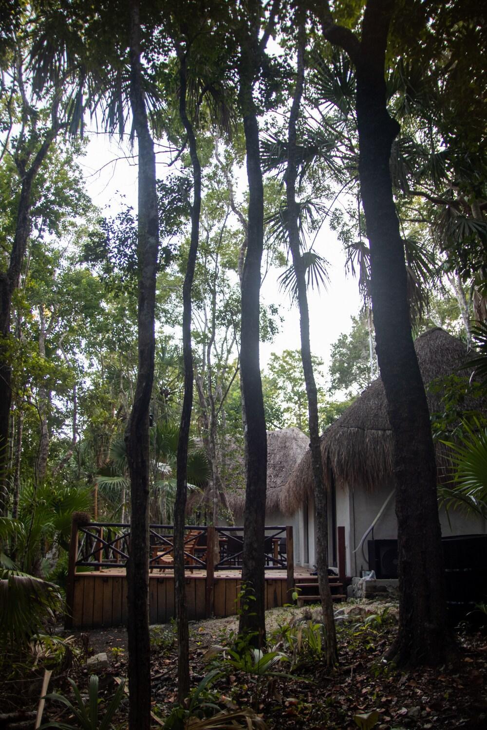 Casa Nahil, foto 7