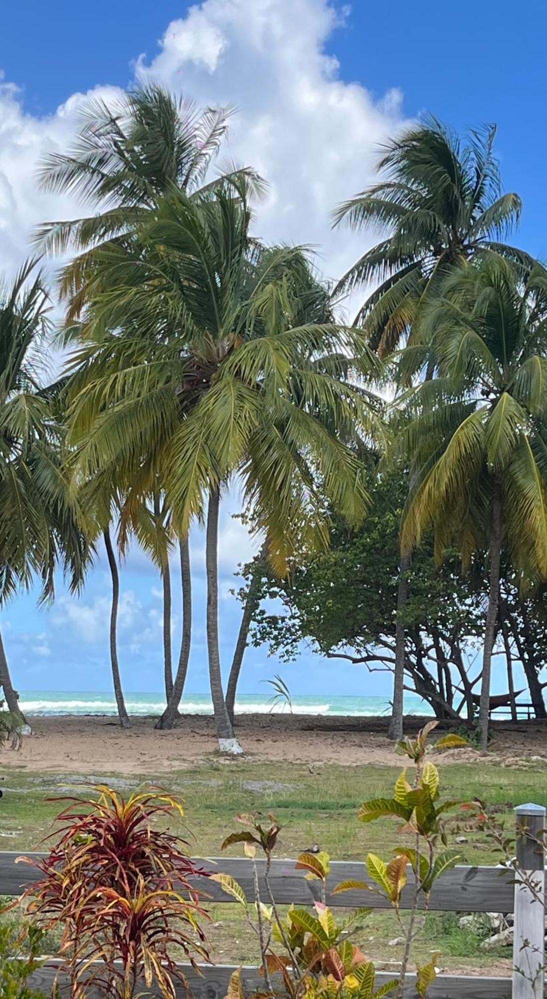 Villa Créole, charmant T2 sur la plage, Tartane, Anse l'Étang, foto 14