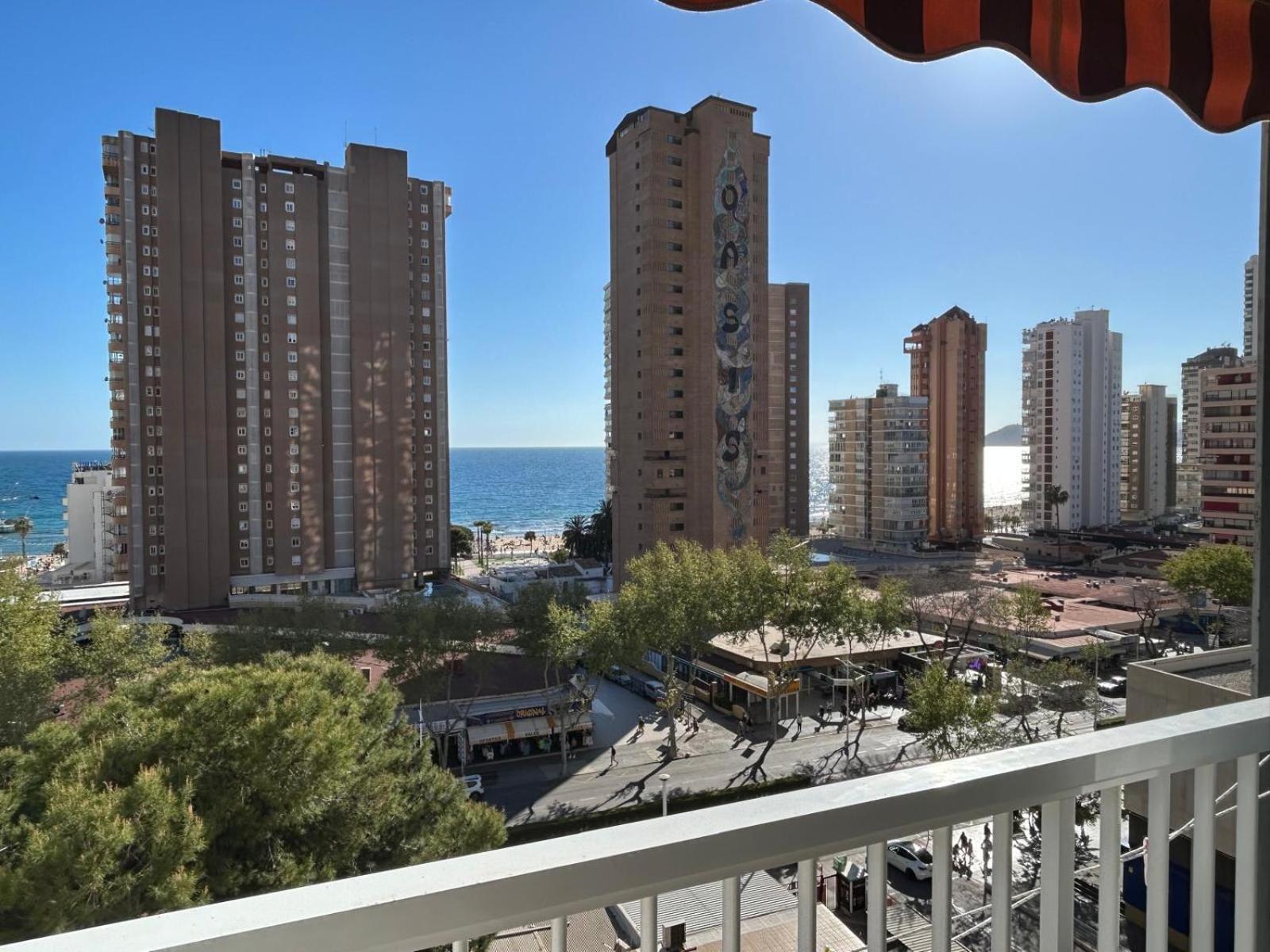 Estudio Albatros Benidorm