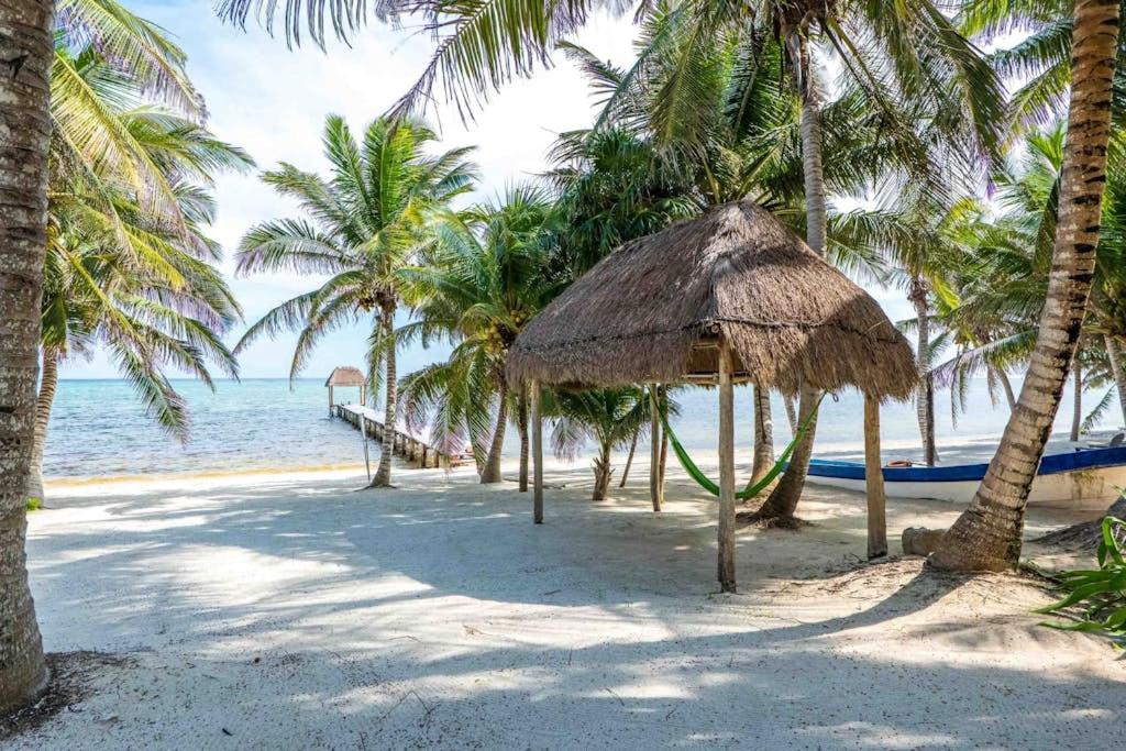 Beachfront paradise with private pool ocean view full kitchen & shaded patio - Villa Mandala, imagen 2