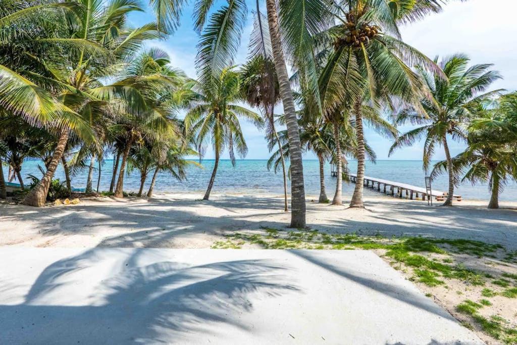 Beachfront paradise with private pool ocean view full kitchen & shaded patio - Villa Mandala, foto 15
