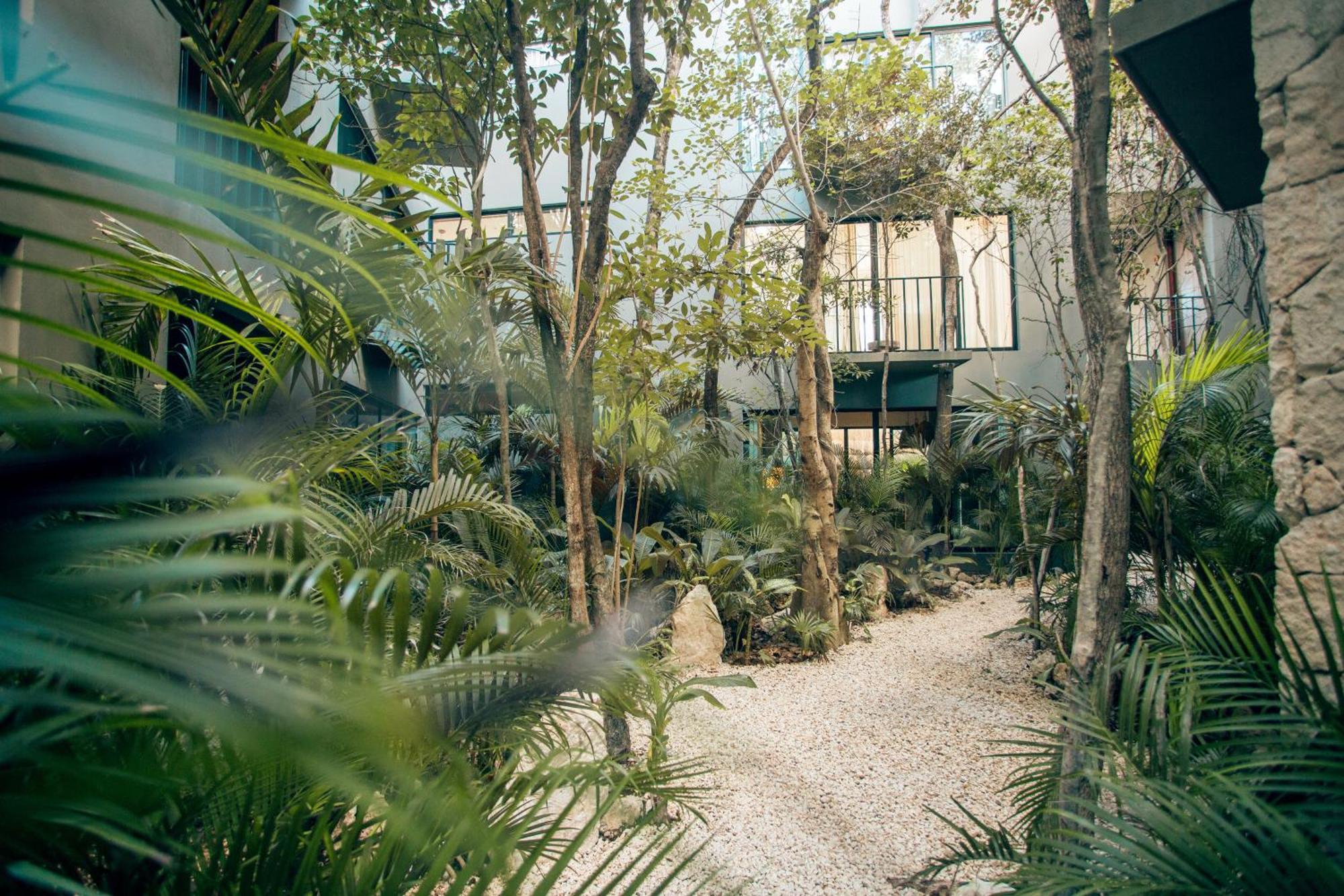 Vida Tulum Jungle apartment incl Rooftop Pool, foto 7