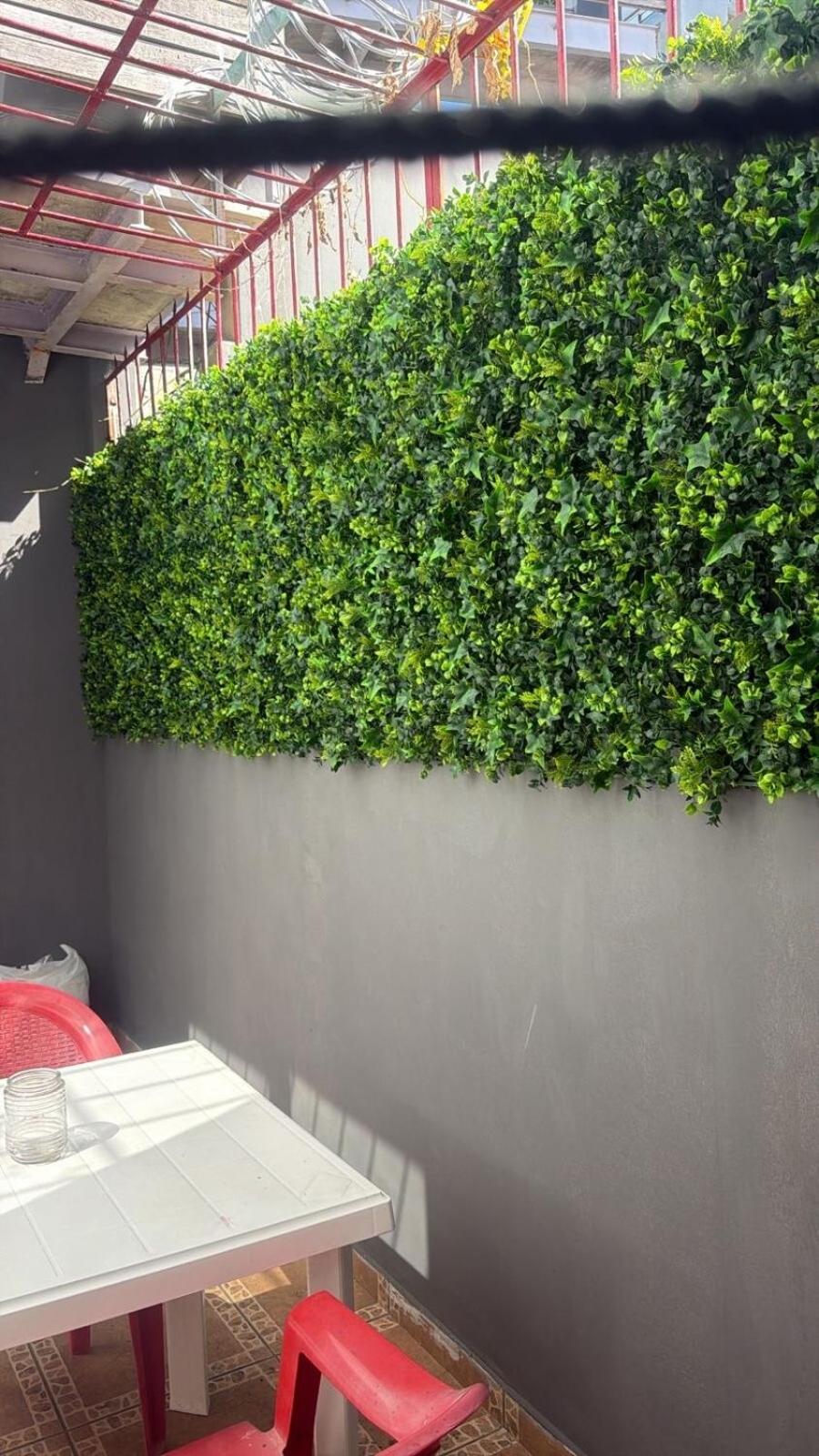 Hidden Gem Studio in the heart of Playa del Carmen, imagen 2