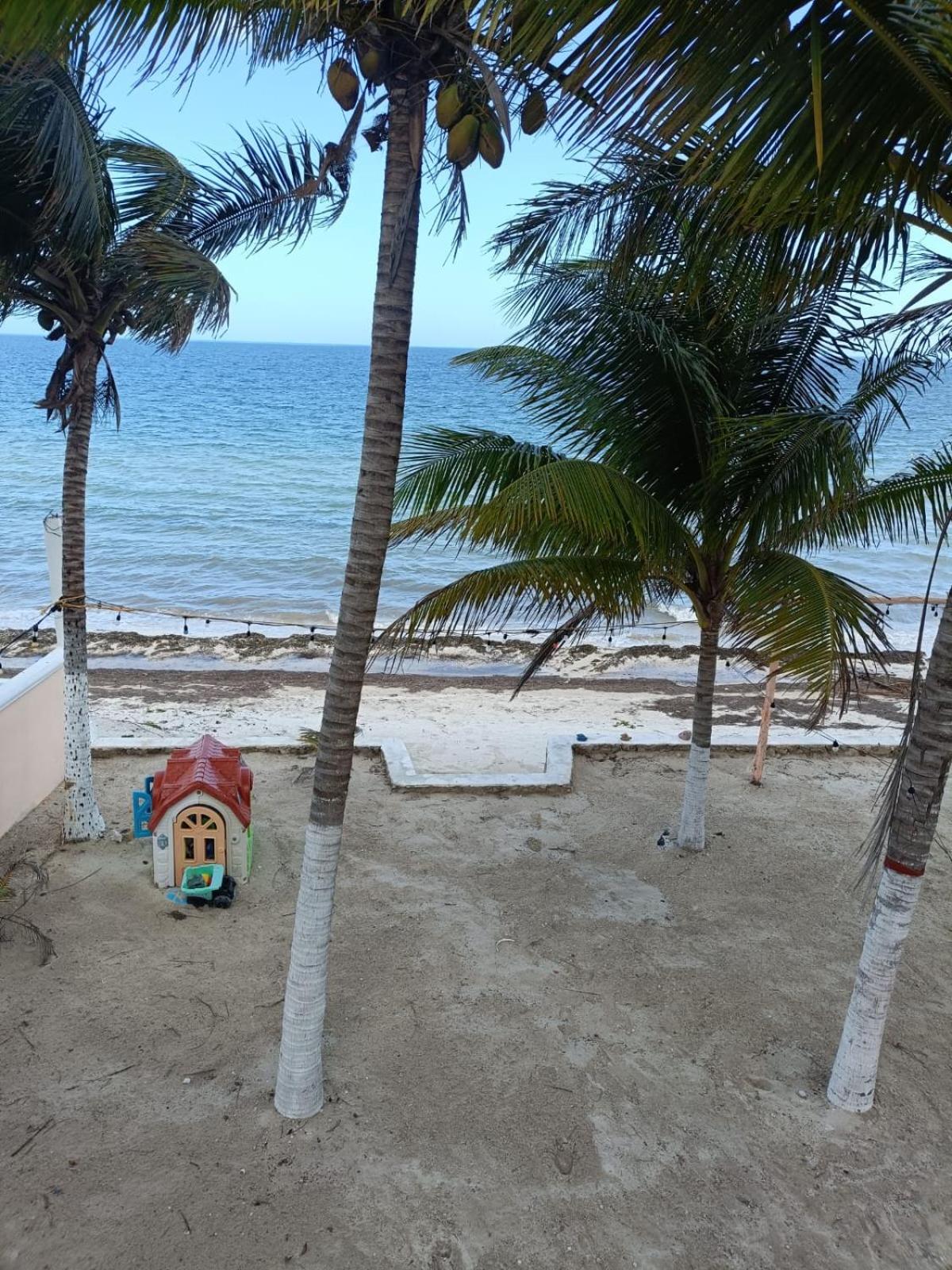 Seidy del Mar, imagen 5