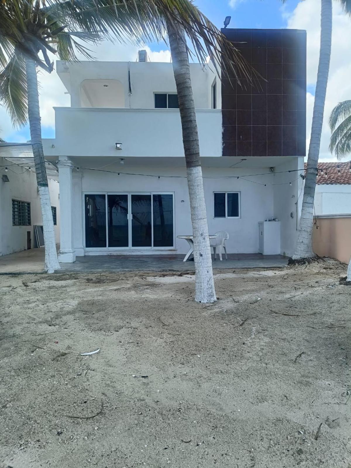 Seidy del Mar, foto 15