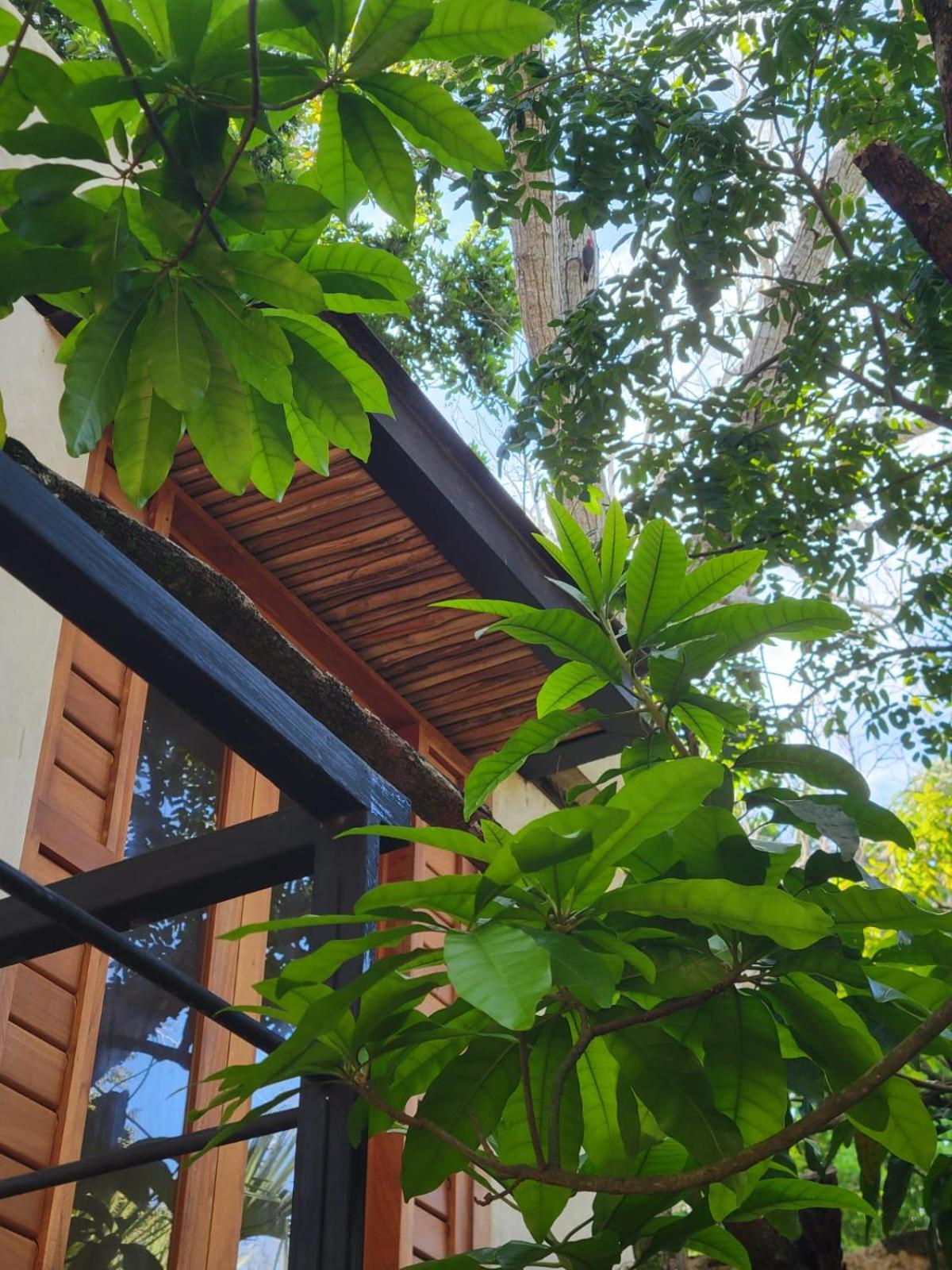 Hotel Boutique Alma Peregrina, foto 6