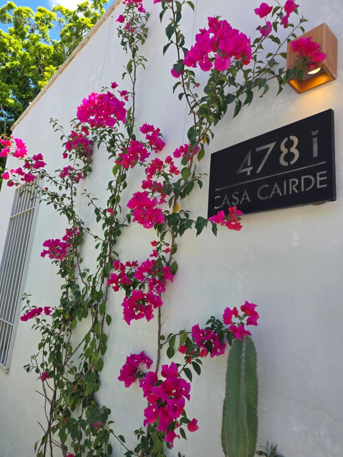 Casa Cairde, imagen 3