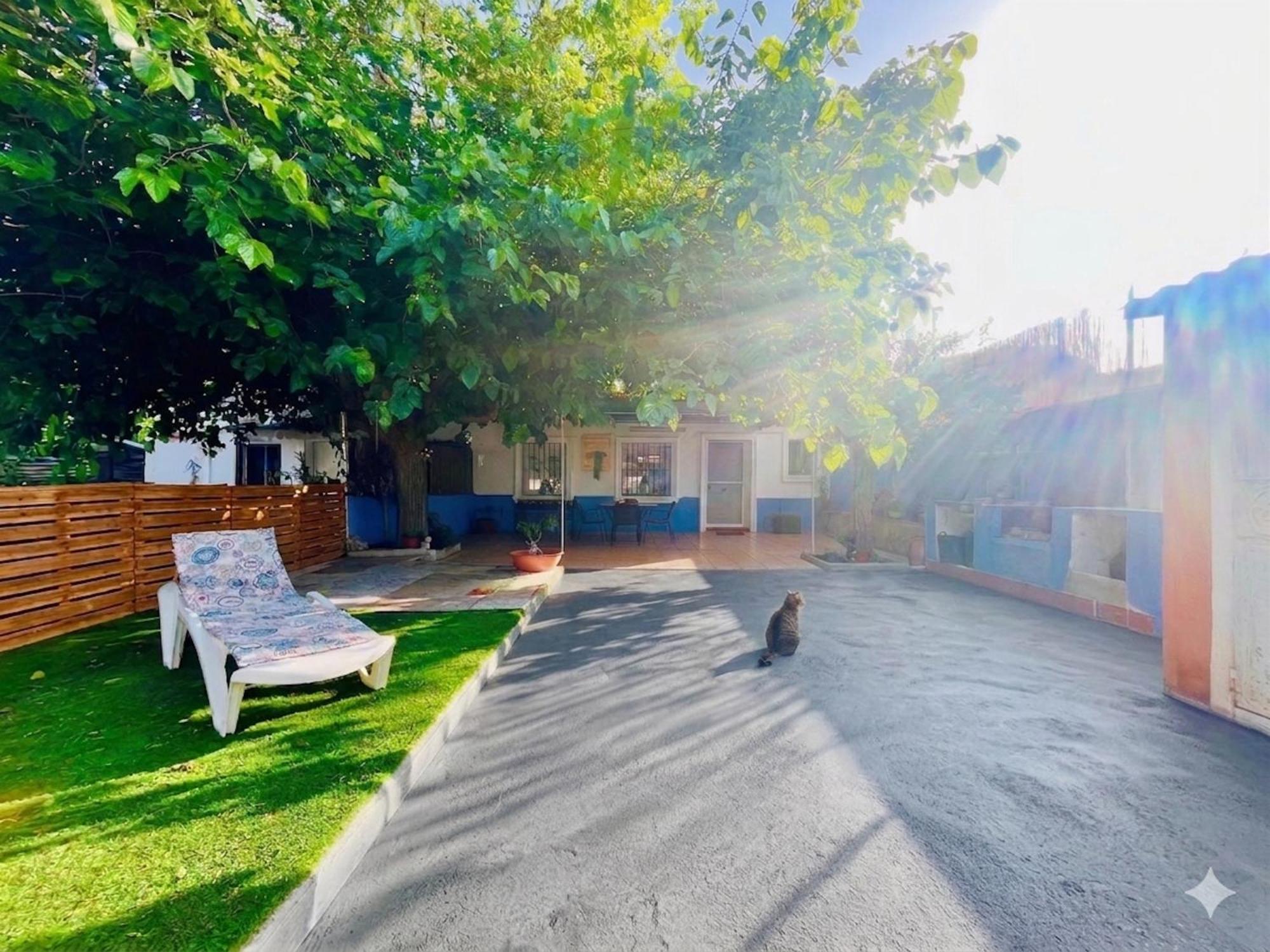 Alicante Garden & BBQ - Estudio con Jardín, Parking Privado y Relax Total