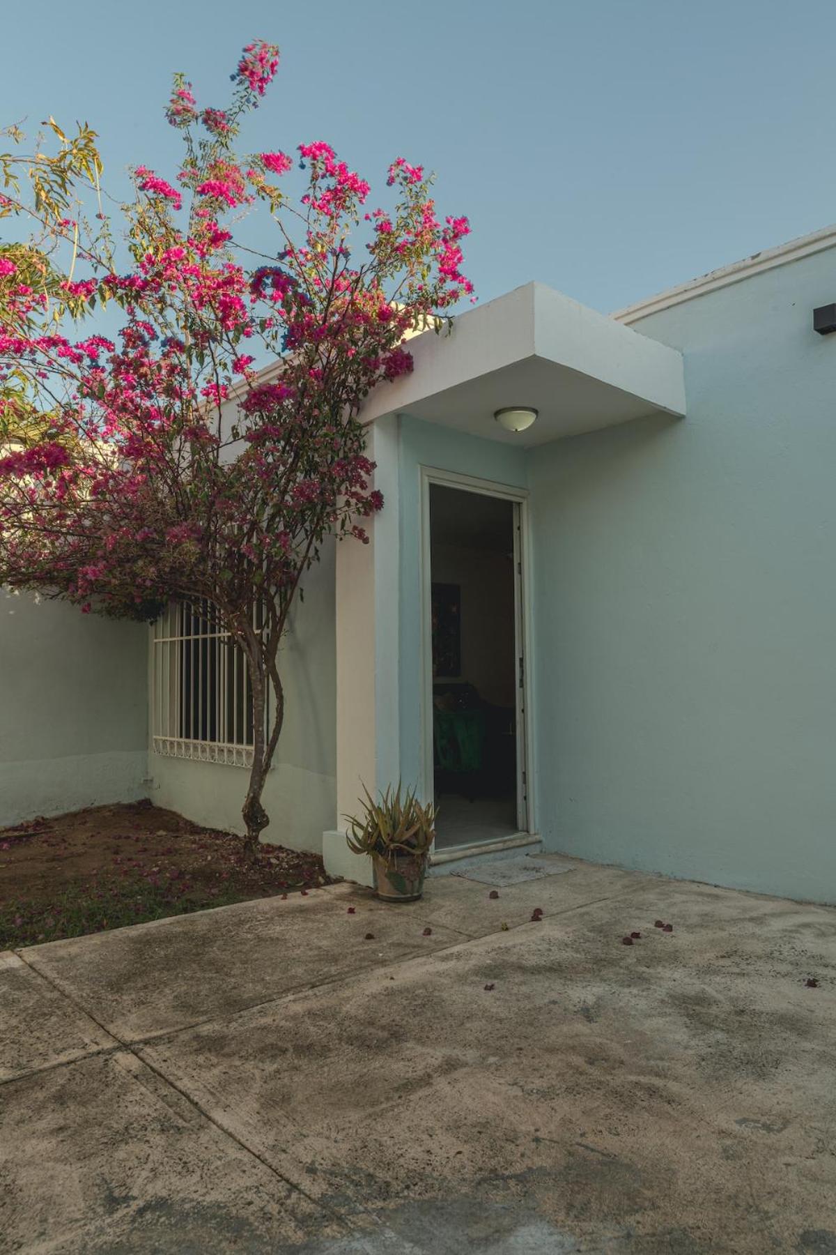 Casita Afremov 2 bedrooms beautiful & comfortable very close to a park, stores, and restaurants, foto 12