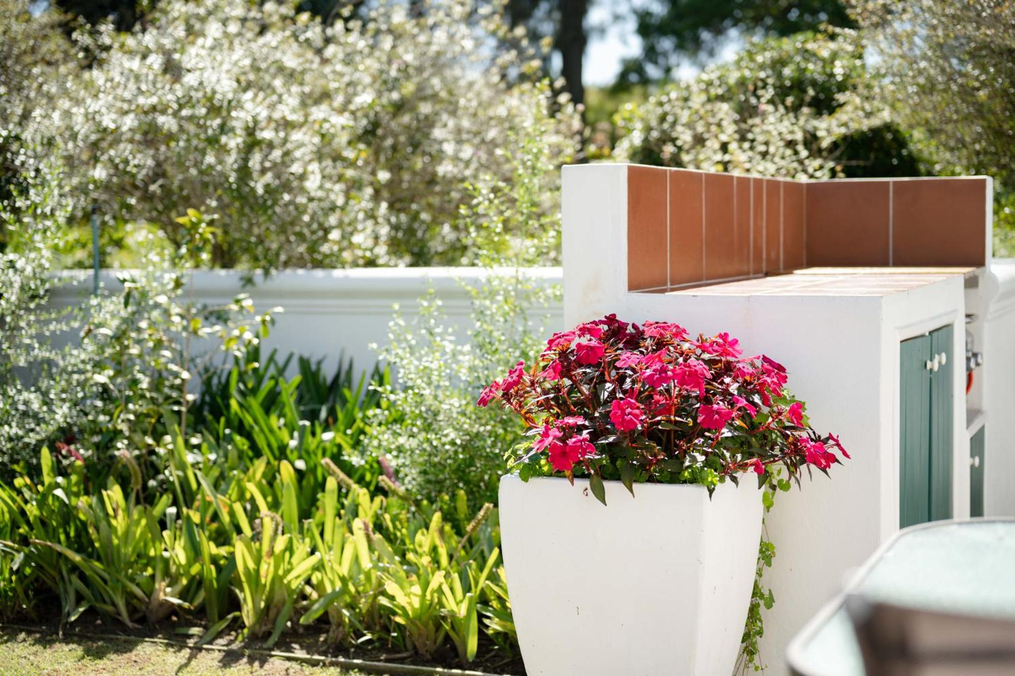 Greenhill Farm Cape Dutch Cottage Plettenberg Bay - 1 Bedroom Private Cottage — foto 5