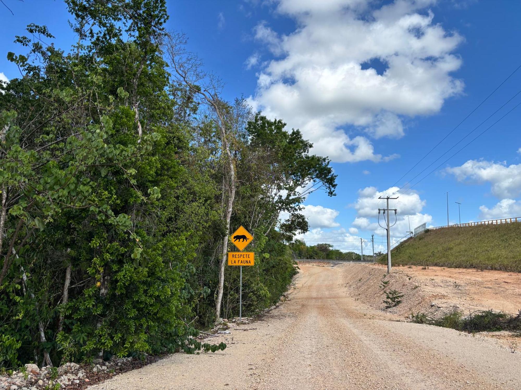 Selva Maya Camping and RVs