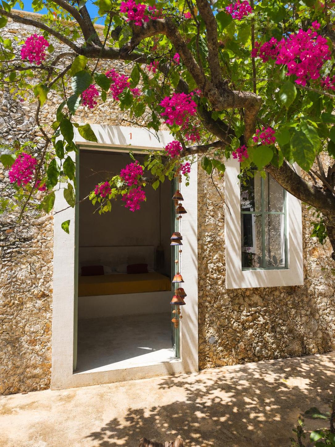 Nuik Casa Tropical, imagen 4