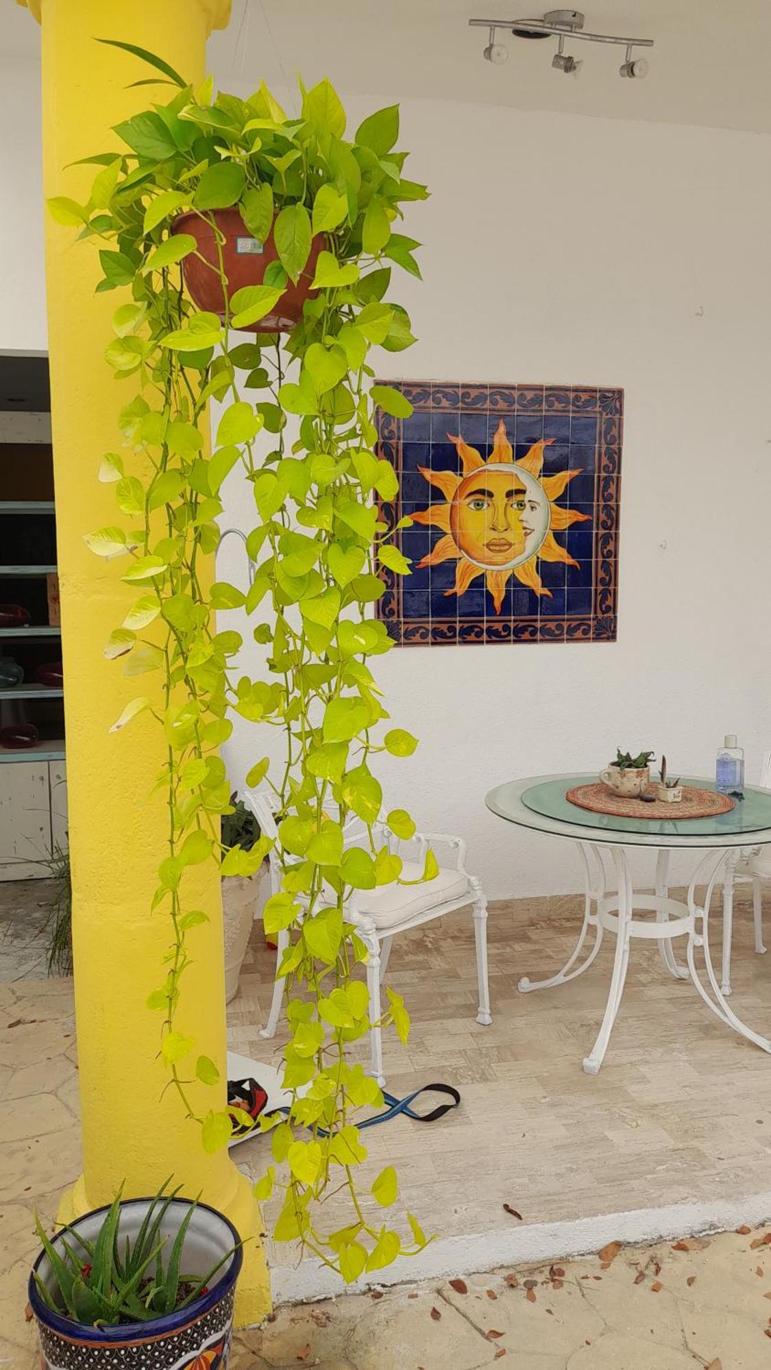 Estudio Sol y Mar, foto 6