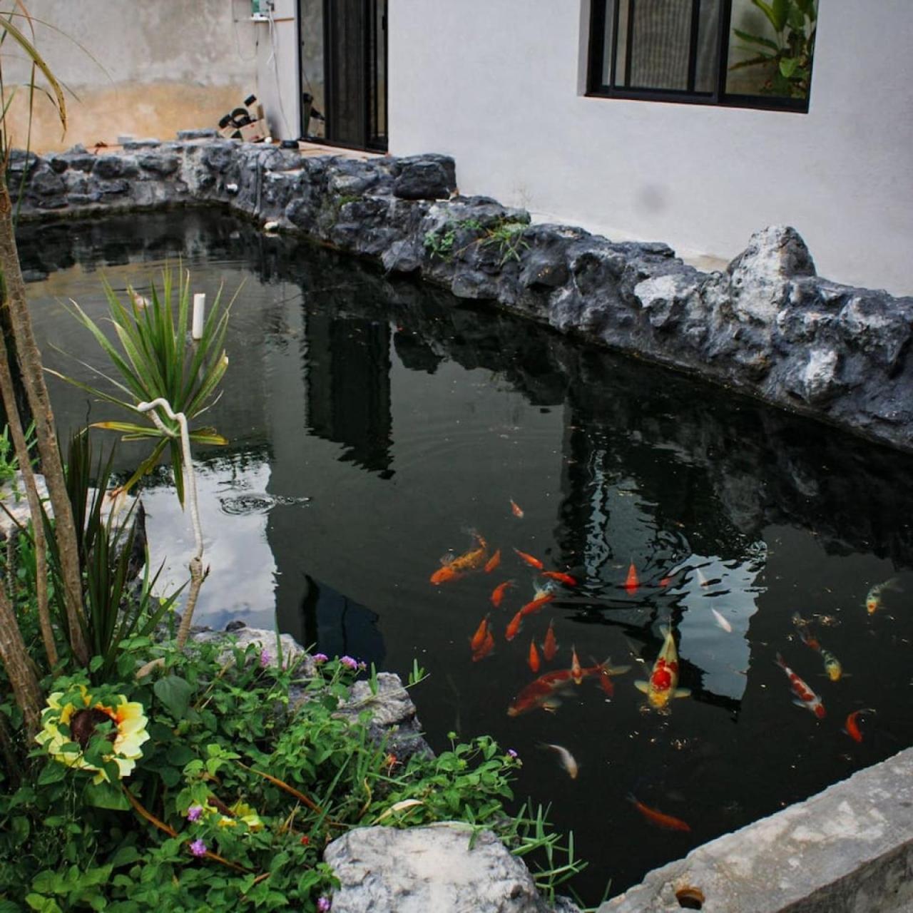 Suite Estrella China, foto 11
