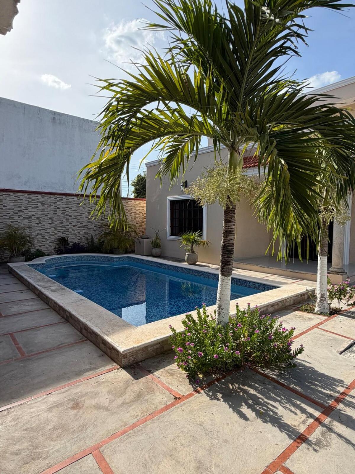 Gated house with garden and pool Mérida, foto 7