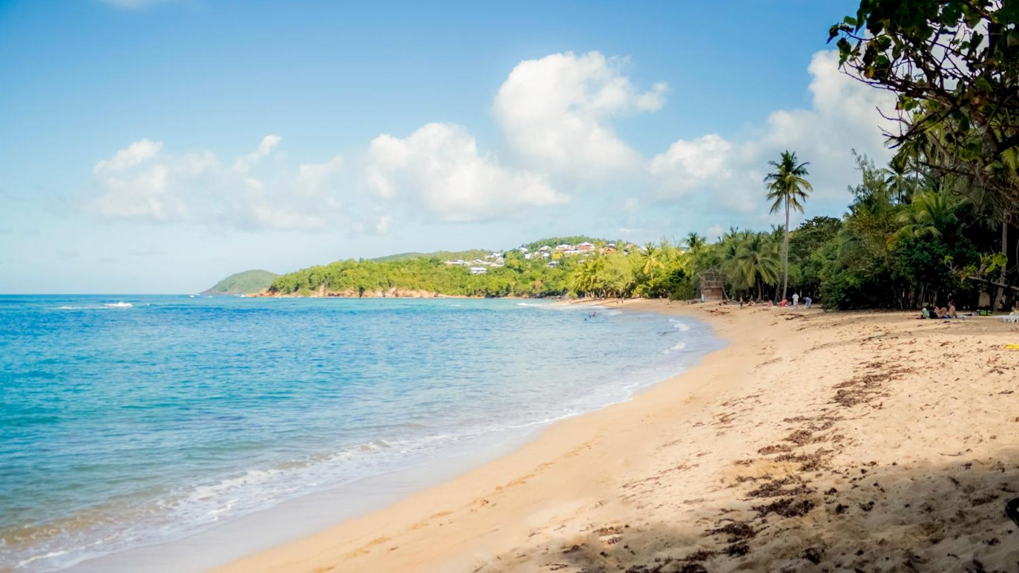 Studio Anse L'Etang, imagen 2