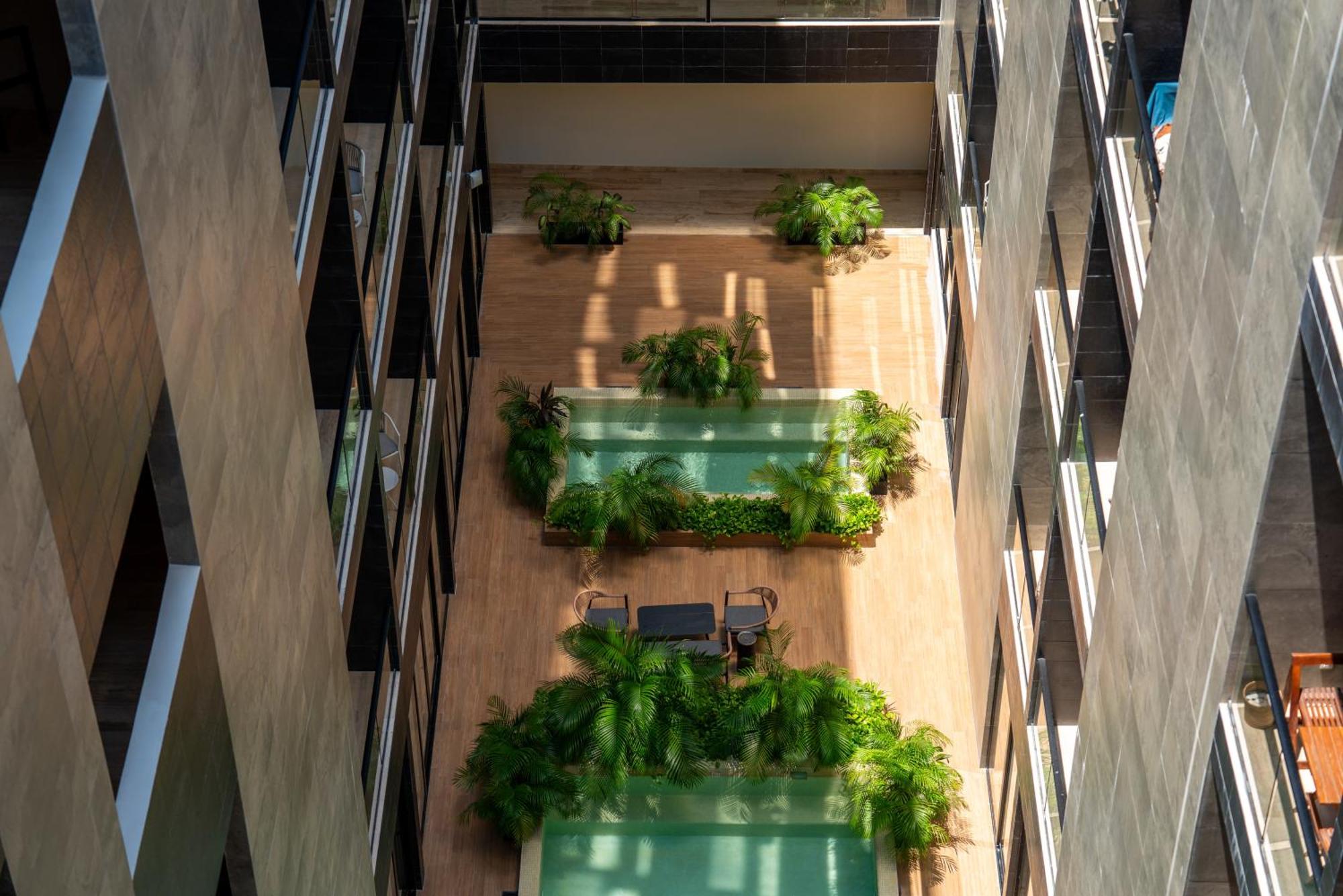 Musa Del Carmen, Centric Apt with Rooftop, Pool, Hot tub, Gym, foto 16