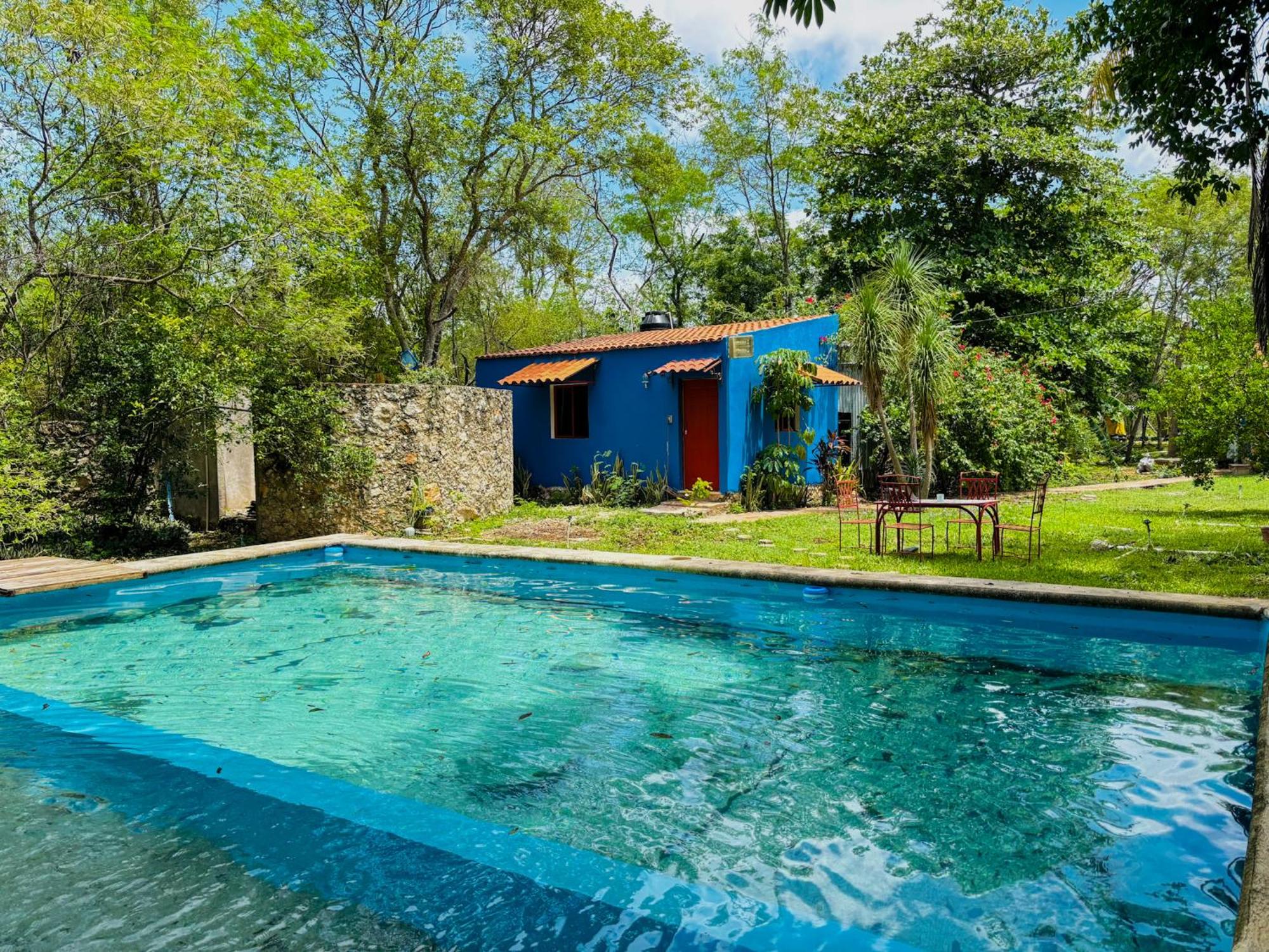 Loft Bugambilia en Casa Viva Merida, imagen 2