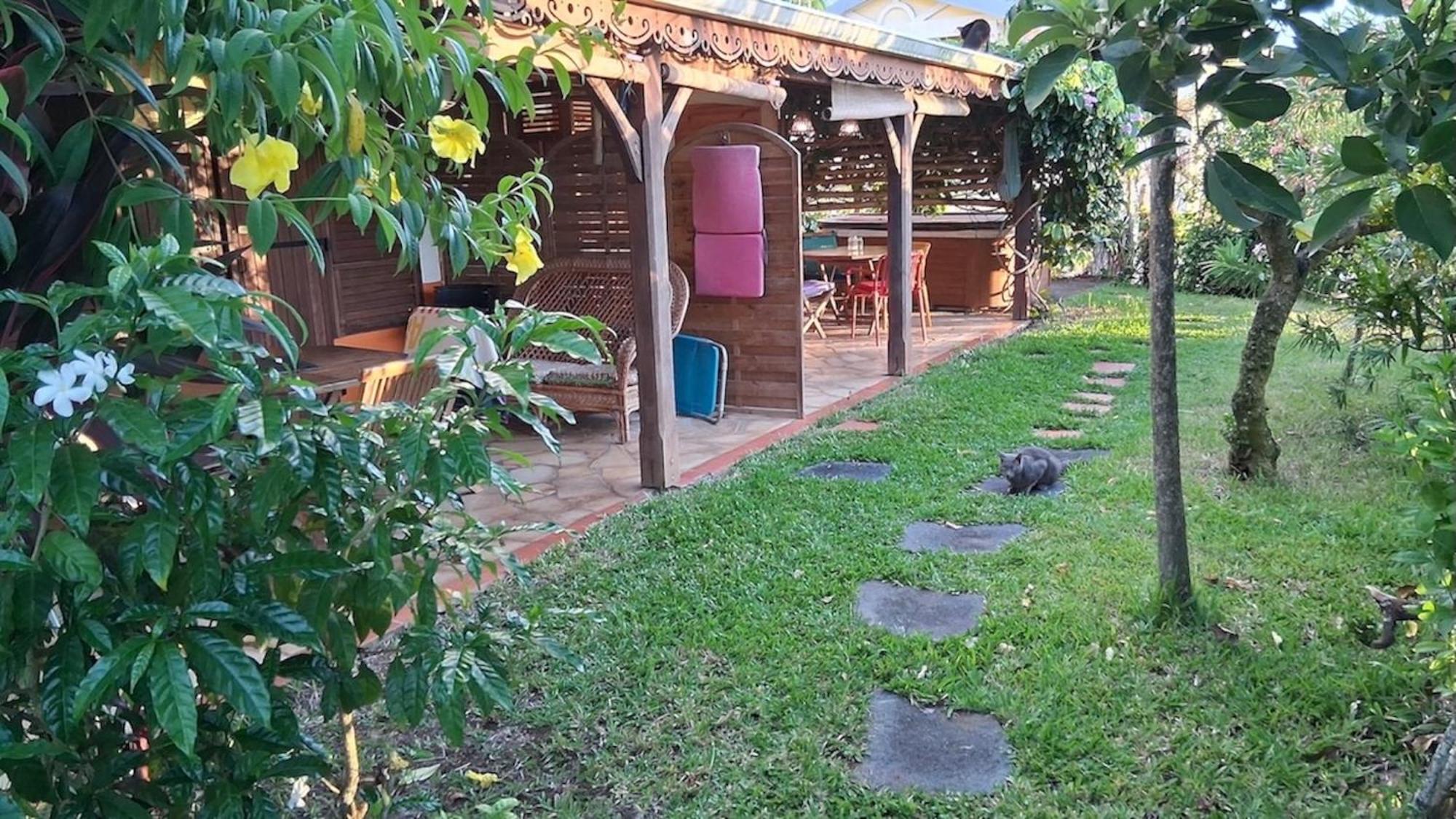 T2 Kay Zanndoli, imagen 2
